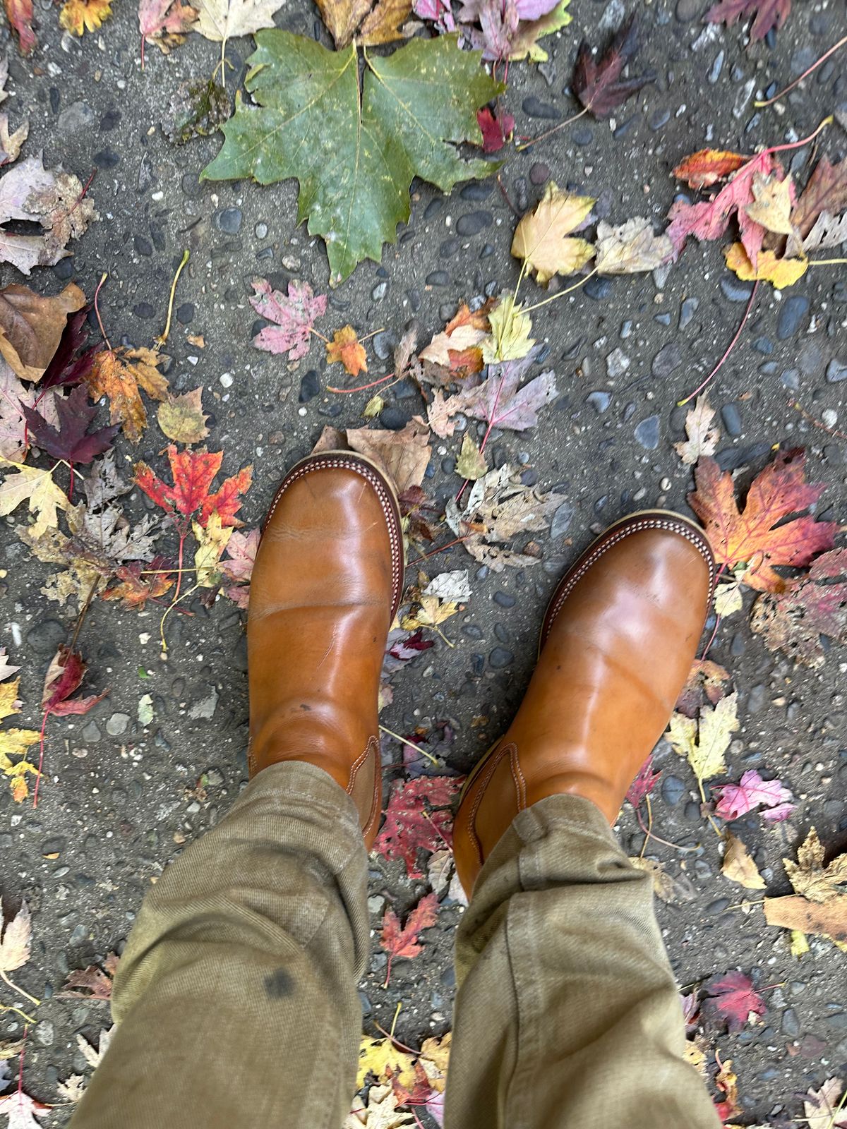 Photo by philly_bb on October 31, 2025 of the Flame Panda Wholecut Chelsea in Tochigi Natural Cowhide.