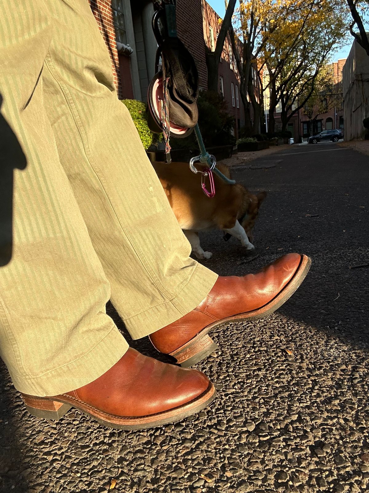 Photo by philly_bb on November 3, 2025 of the Rolling Dub Trio Griffin Jodhpur in Similar Brown Horsebutt #1010.