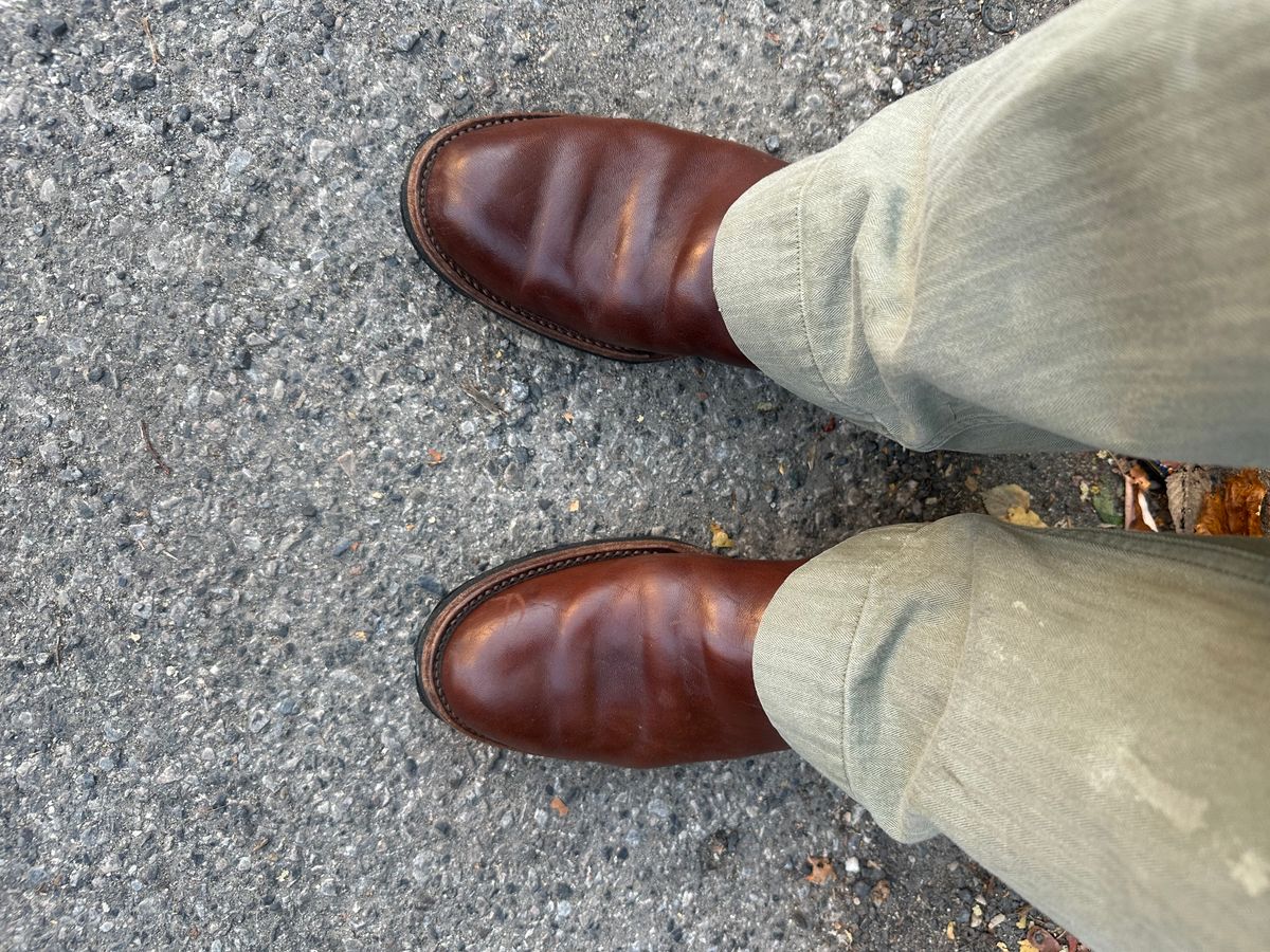 Photo by philly_bb on November 3, 2025 of the Rolling Dub Trio Griffin Jodhpur in Similar Brown Horsebutt #1010.