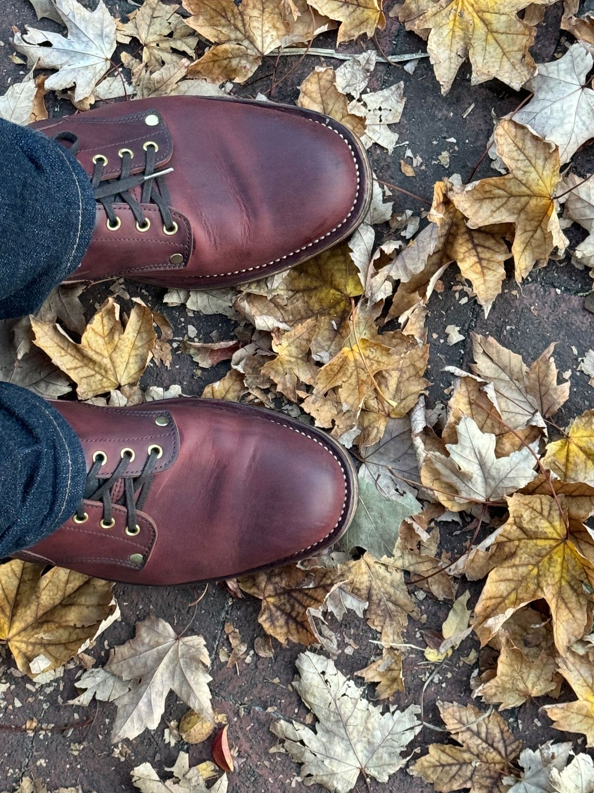 Photo by endlessmike on October 28, 2023 of the NF Bootmaker Fritz Boot in Tempesti Baku & Horween Tumbled Black Chromexcel.
