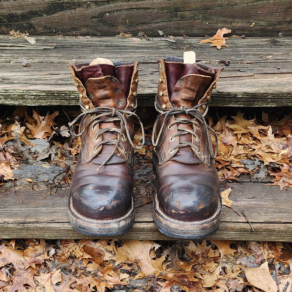 Photo by ImaGoat on February 5, 2024 of the Nicks MTO in Horween Orange Predator.