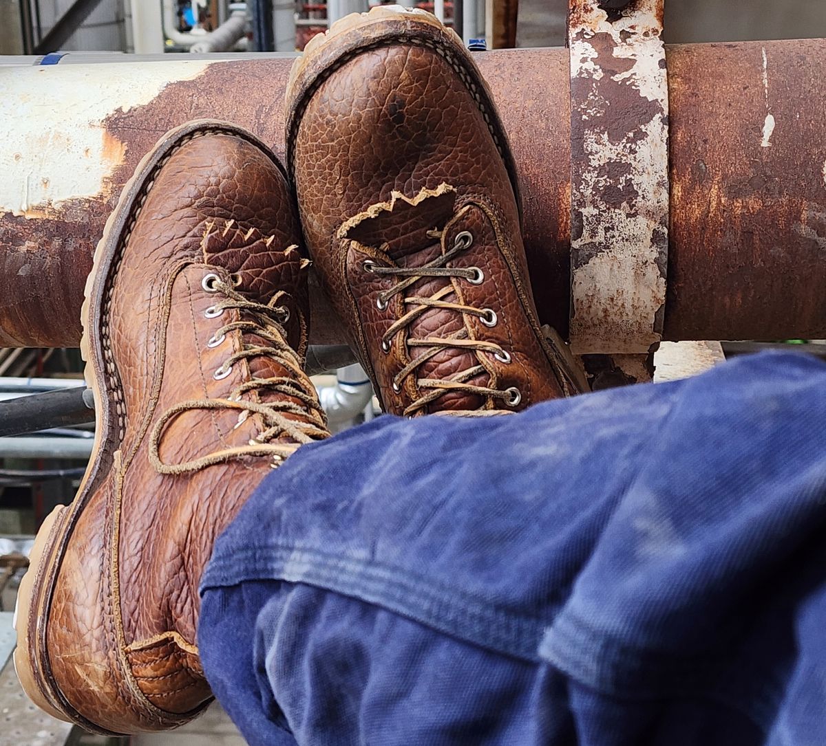 Photo by ImaGoat on March 3, 2025 of the Nicks LTT BuilderPro Shrunken Bison - Classic Configuration in Law Tanning Brown Smooth Shruken Bison.