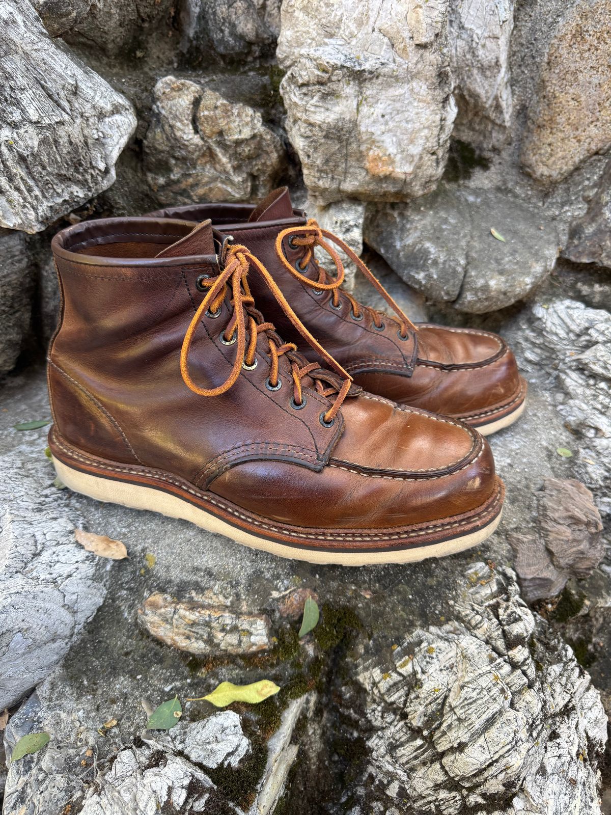Photo by ridepaso on June 28, 2026 of the Red Wing 6-Inch Classic Moc in S.B. Foot Copper Rough and Tough.