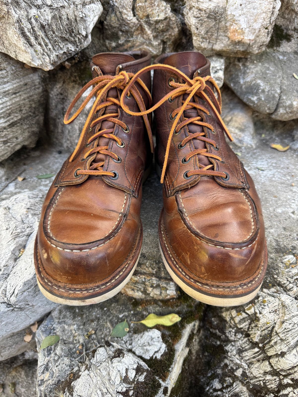 Photo by ridepaso on June 28, 2026 of the Red Wing 6-Inch Classic Moc in S.B. Foot Copper Rough and Tough.