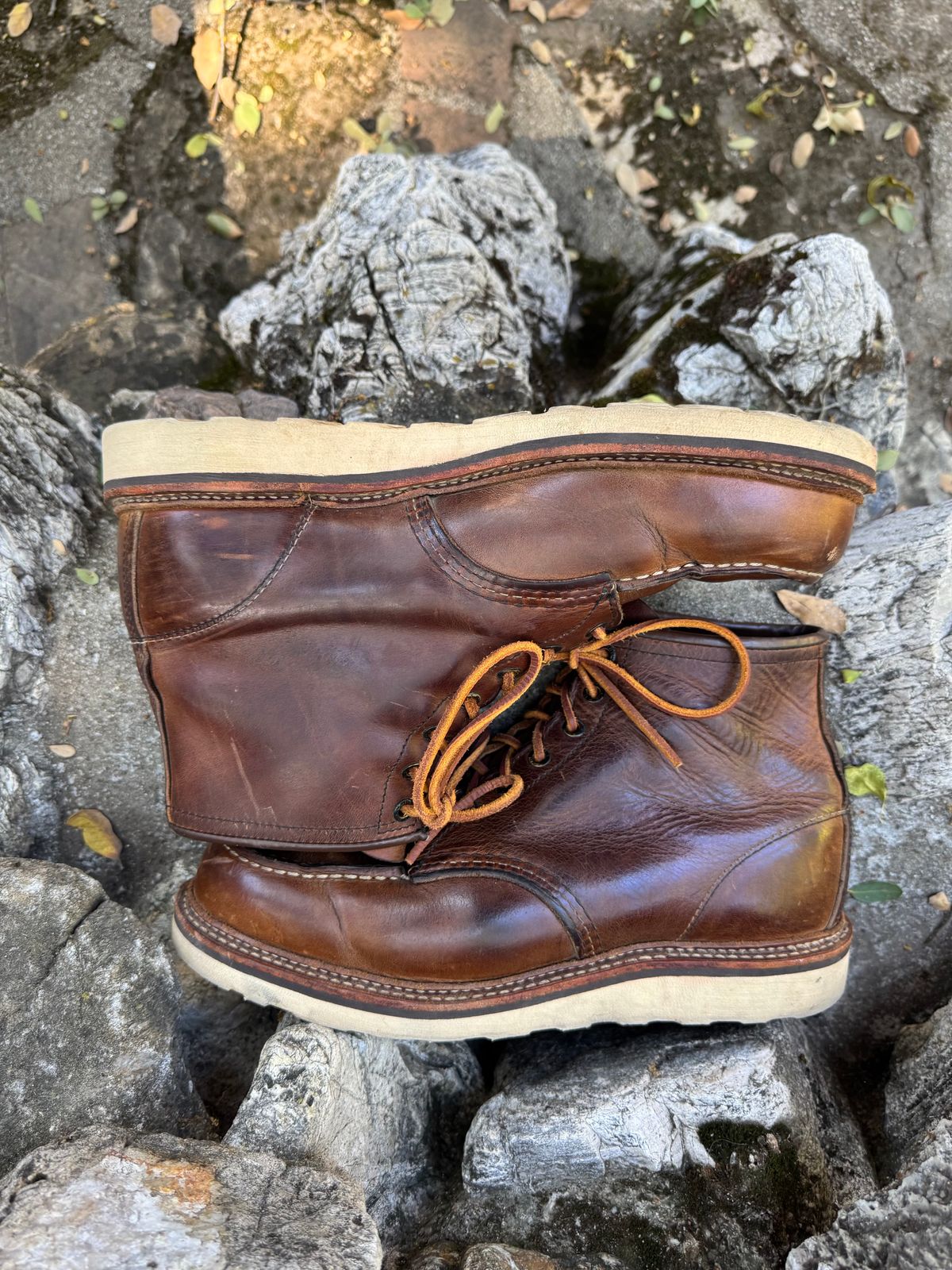 Photo by ridepaso on June 28, 2026 of the Red Wing 6-Inch Classic Moc in S.B. Foot Copper Rough and Tough.
