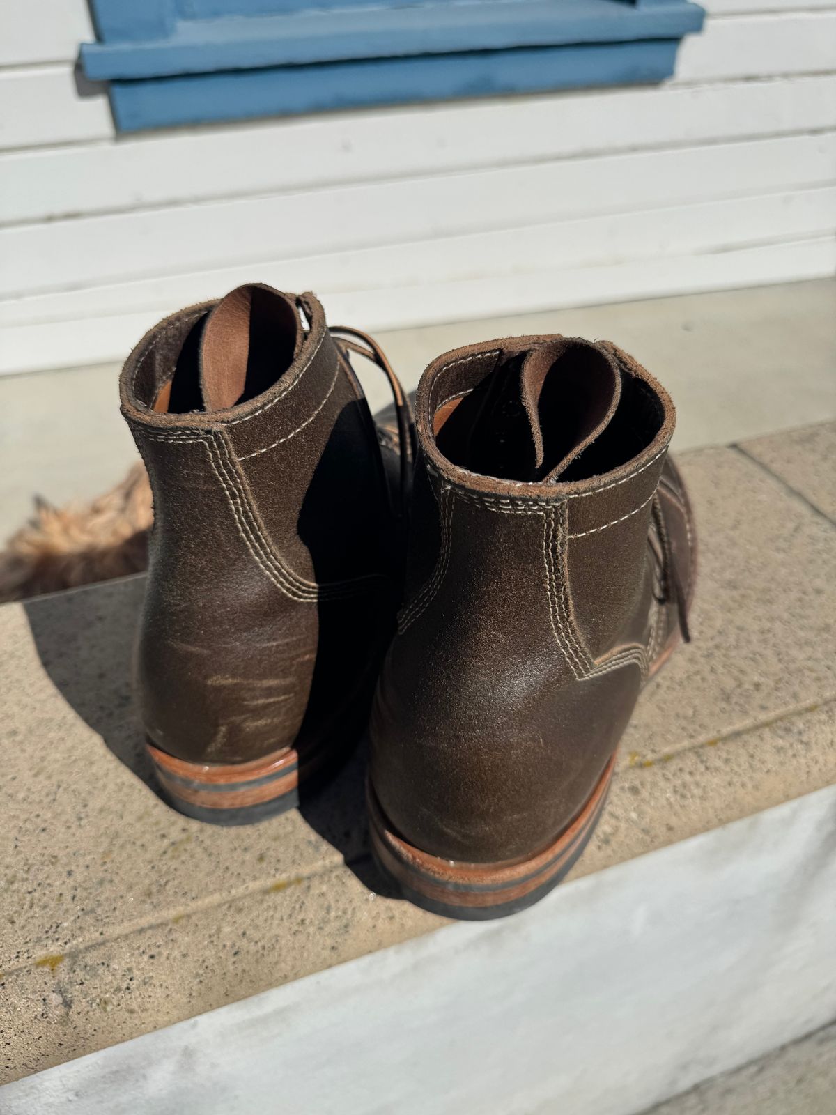 Photo by ridepaso on March 15, 2026 of the White's MP-M1TC in Horween Olive Waxed Flesh.