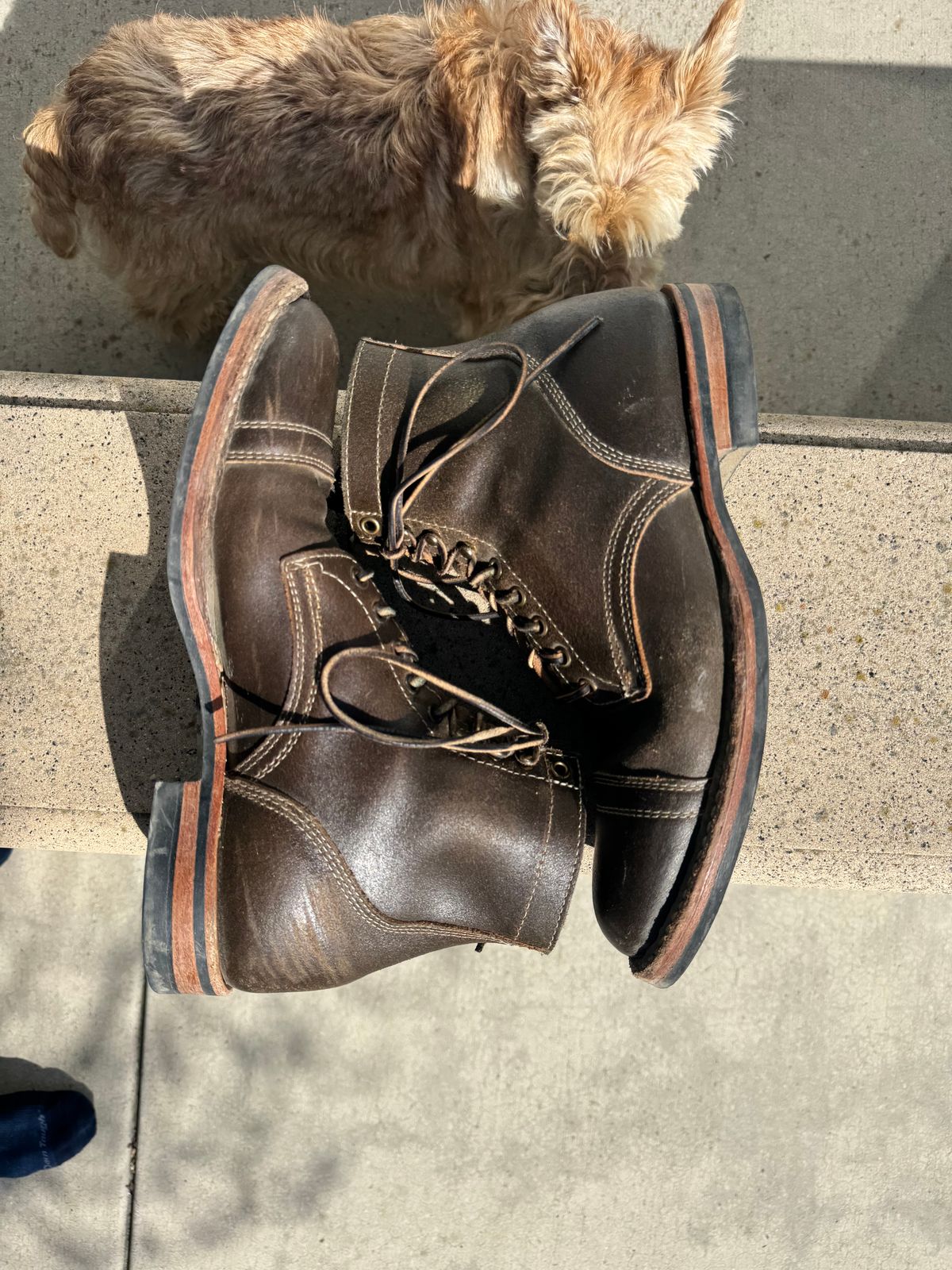 Photo by ridepaso on March 15, 2026 of the White's MP-M1TC in Horween Olive Waxed Flesh.