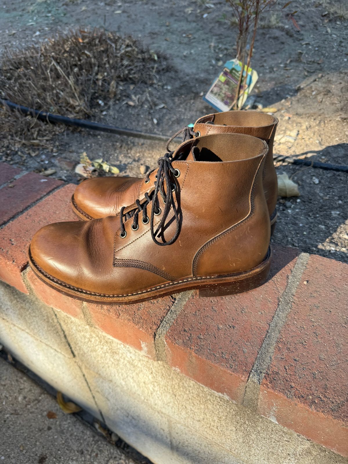 Photo by ridepaso on October 20, 2024 of the Oak Street Bootmakers Field Boot in Horween Natural Chromexcel.