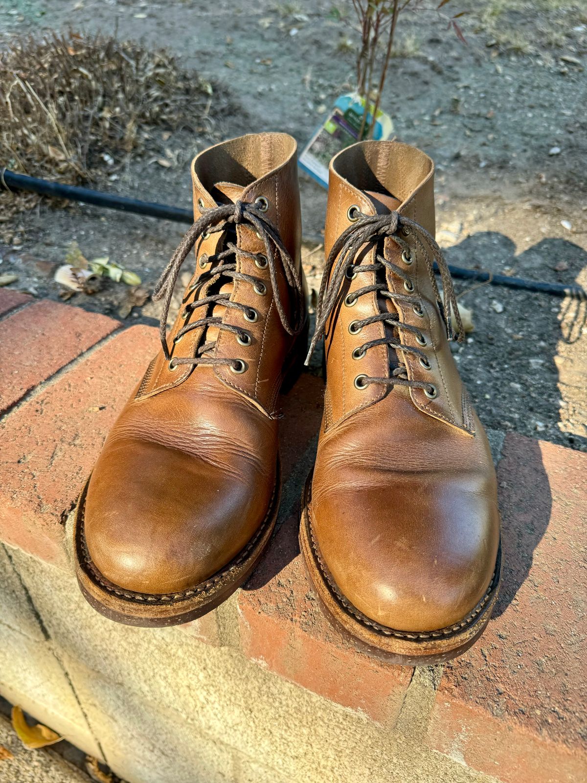 Photo by ridepaso on October 20, 2024 of the Oak Street Bootmakers Field Boot in Horween Natural Chromexcel.