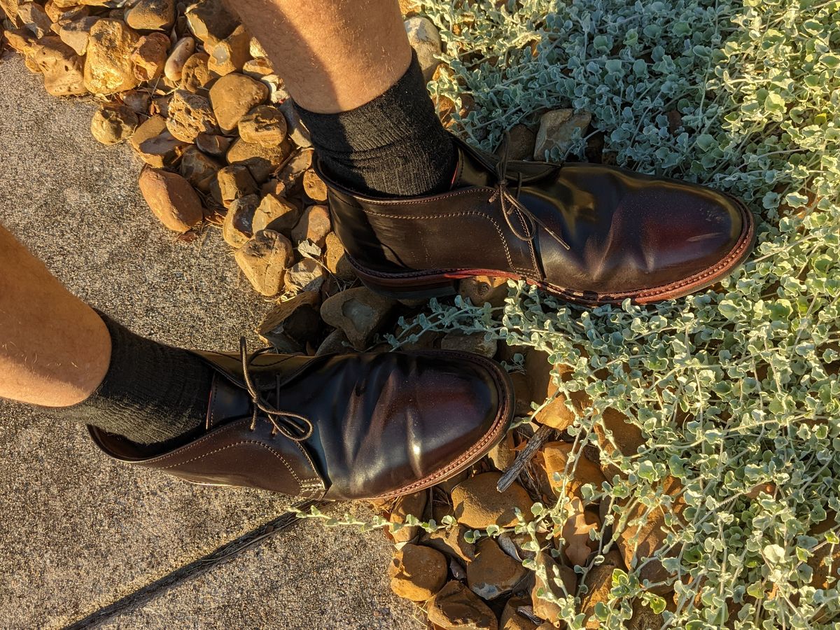 Photo by tastyplacement on October 13, 2022 of the Alden 2-Eyelet Chukka in Horween Color 8 Shell Cordovan.