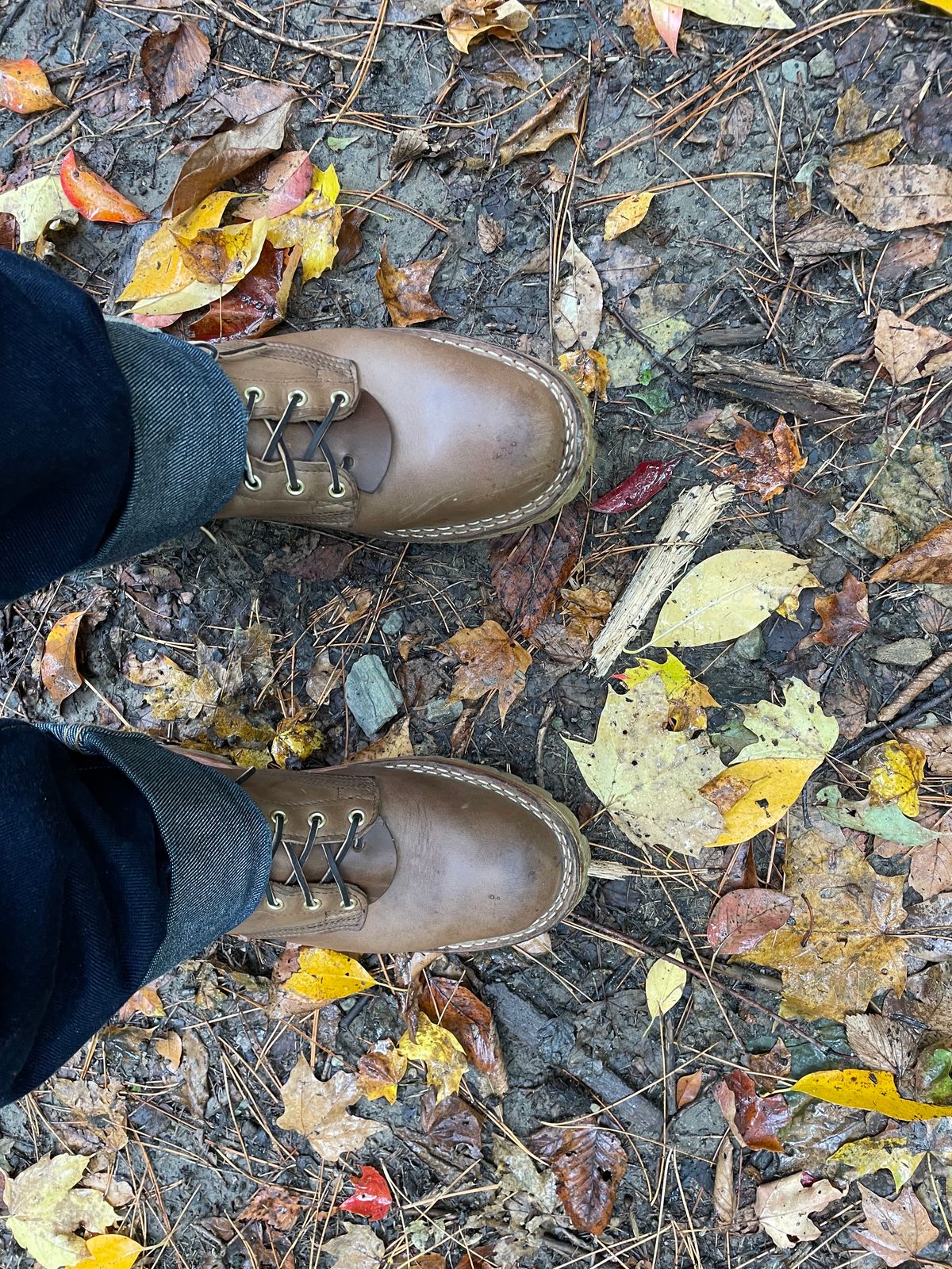 Photo by ungulated on October 15, 2023 of the Nicks Unknown Model in Horween Natural Chromexcel.