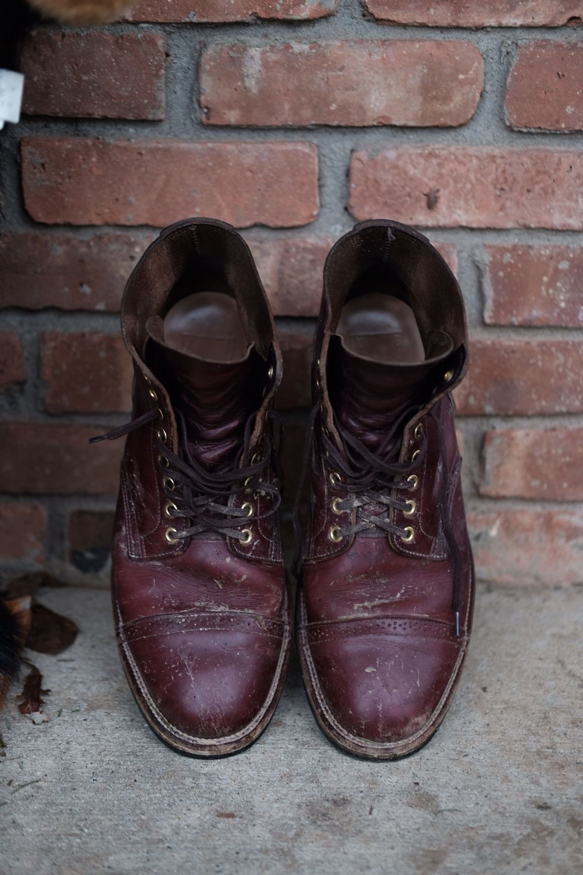 Photo by tichoblanco on January 5, 2023 of the XBXS Land Boots in Horween Color 8 Chromexcel.