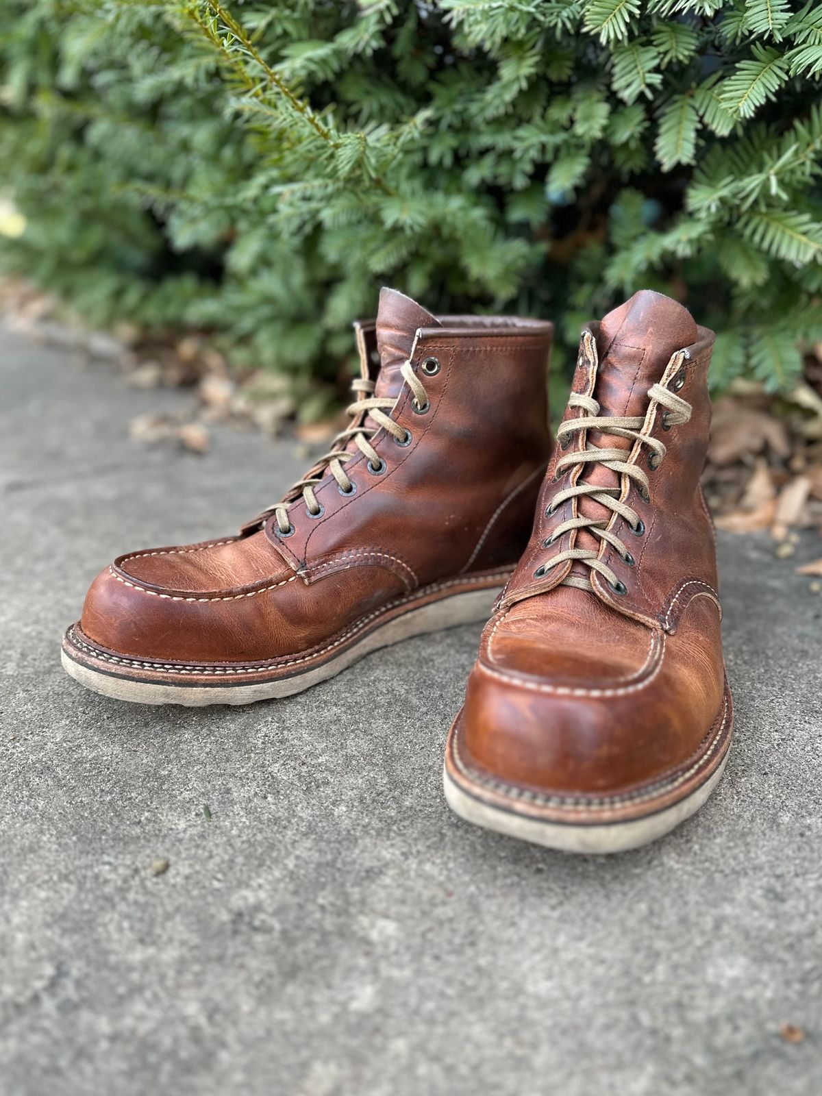 Photo by scratch.awl on February 5, 2024 of the Red Wing 6-Inch Classic Moc in S.B. Foot Copper Rough and Tough.