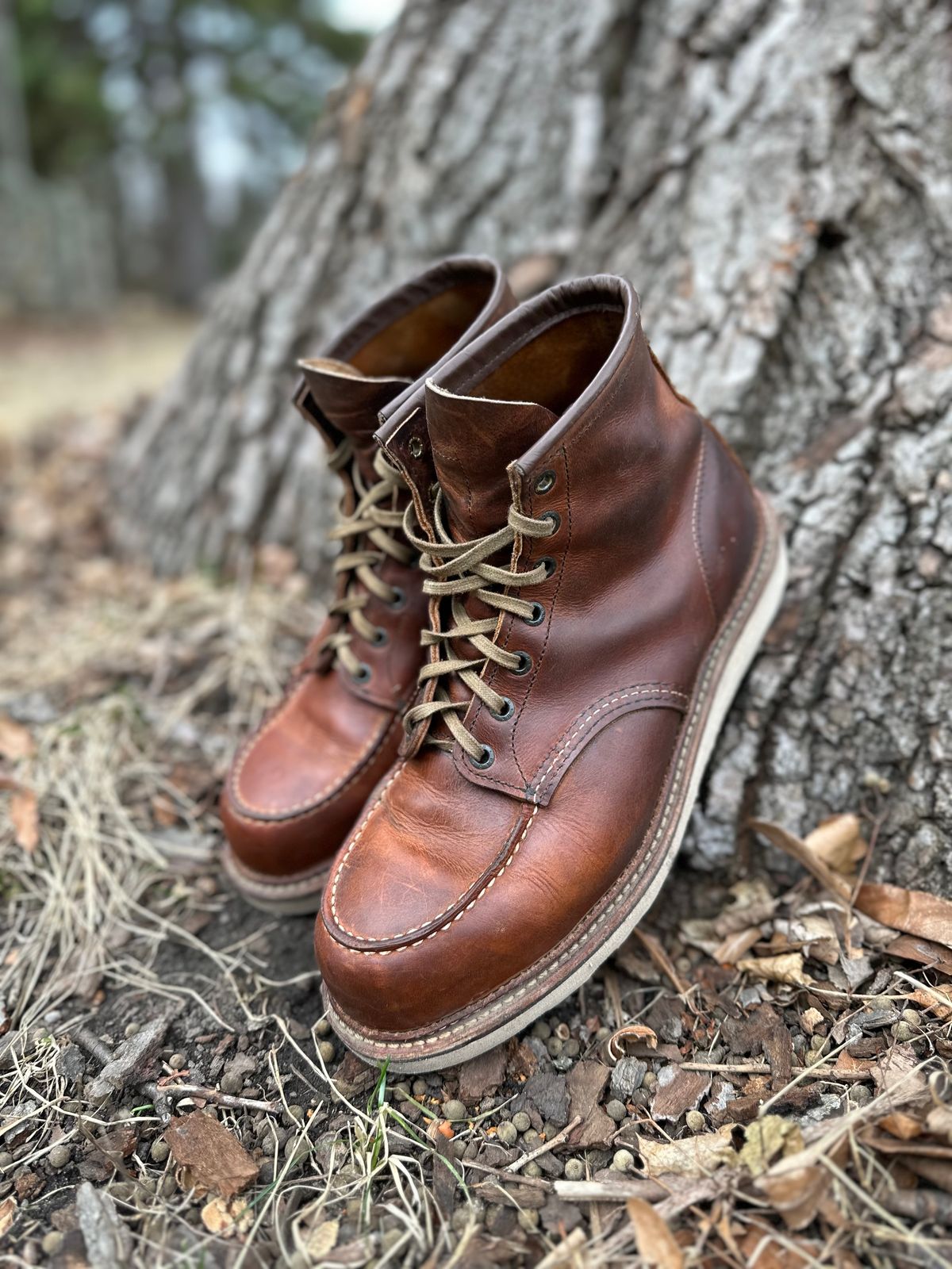 Photo by scratch.awl on March 3, 2024 of the Red Wing 6-Inch Classic Moc in S.B. Foot Copper Rough and Tough.