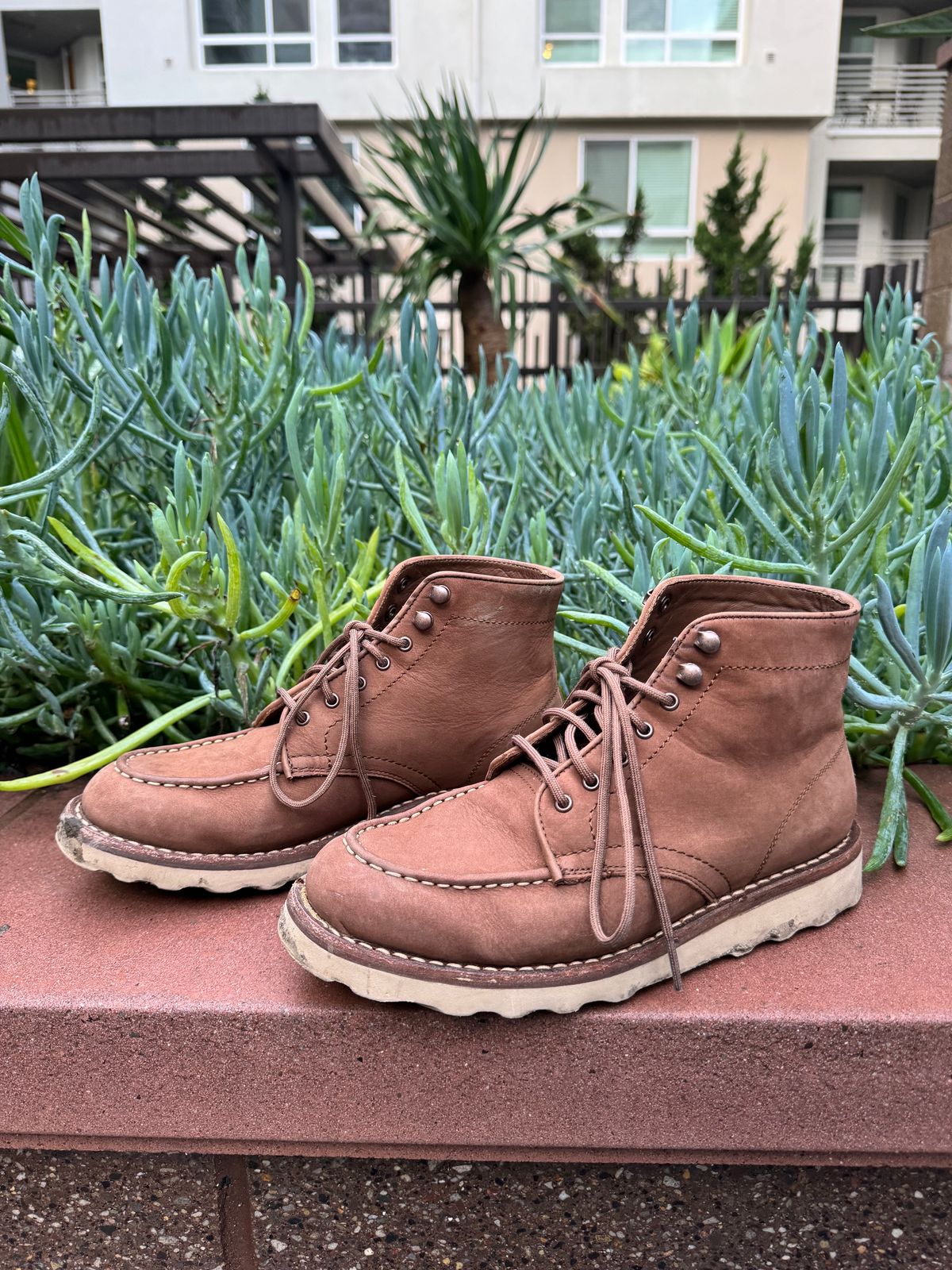 Photo by jarmul22 on February 6, 2024 of the Thursday Diplomat in Pebble WeatherSafe Nubuck.