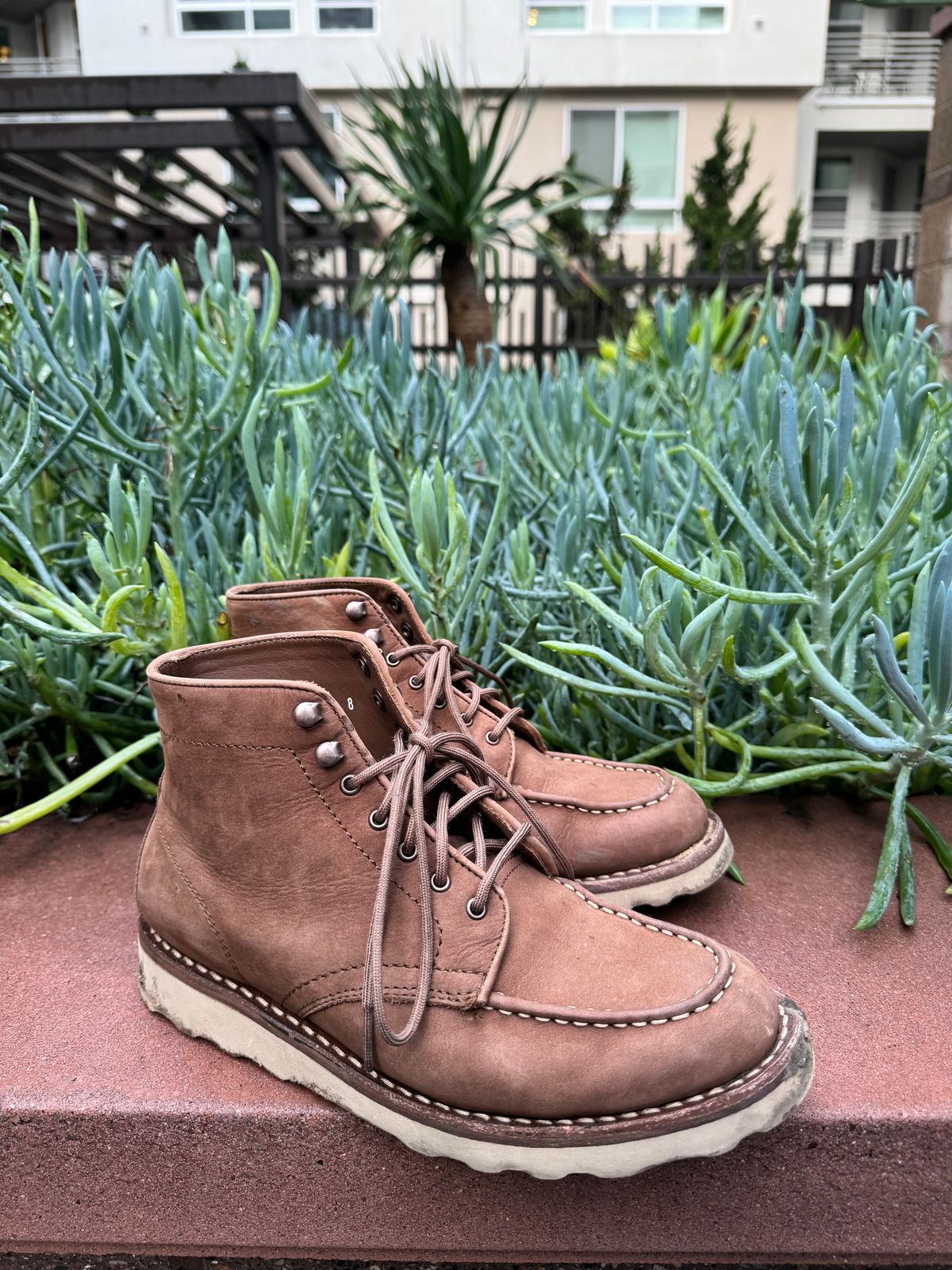 Photo by jarmul22 on February 6, 2024 of the Thursday Diplomat in Pebble WeatherSafe Nubuck.