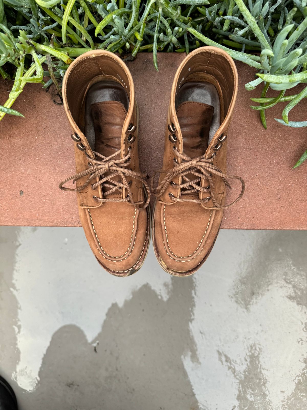 Photo by jarmul22 on February 6, 2024 of the Thursday Diplomat in Pebble WeatherSafe Nubuck.