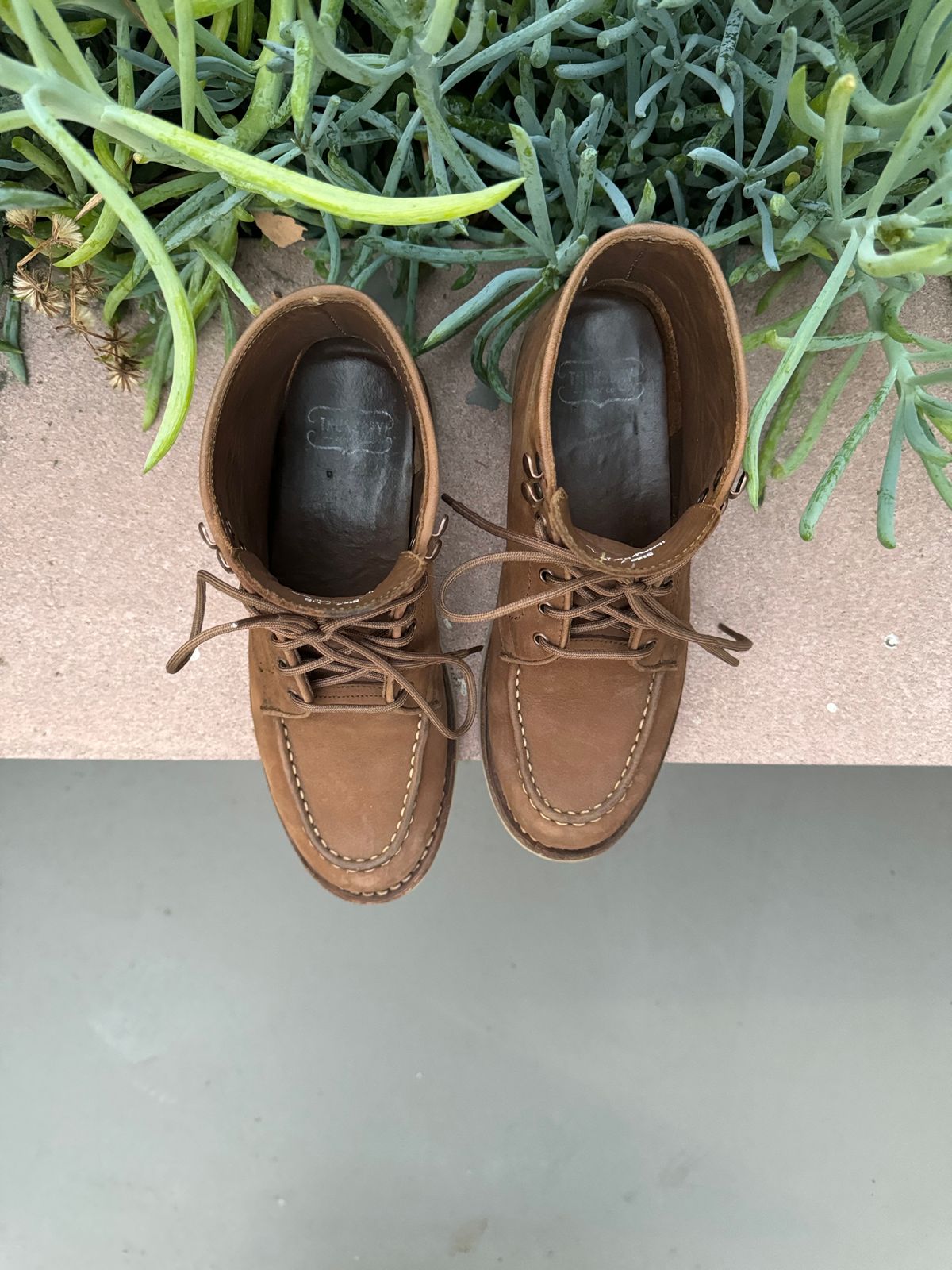 Photo by jarmul22 on December 5, 2023 of the Thursday Diplomat in Pebble WeatherSafe Nubuck.