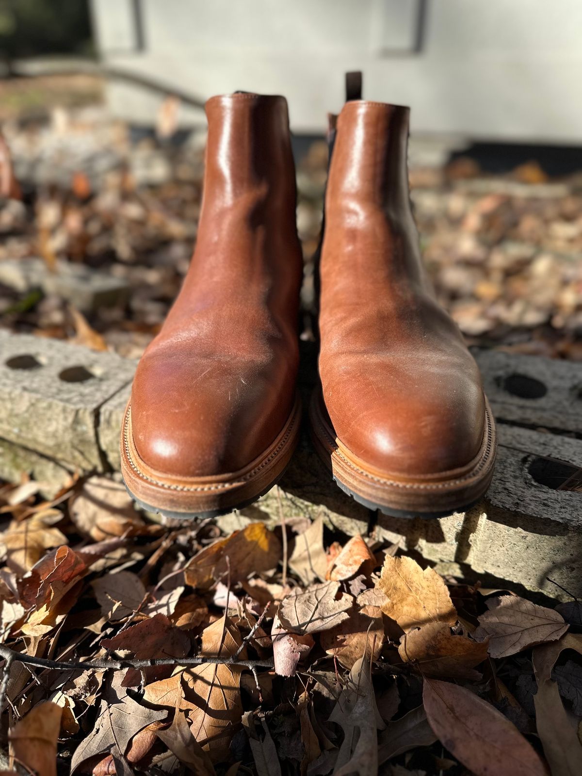 Photo by heef on December 5, 2024 of the Rider Boot Co. Fritz in Maryam Toscanello Horsebutt.