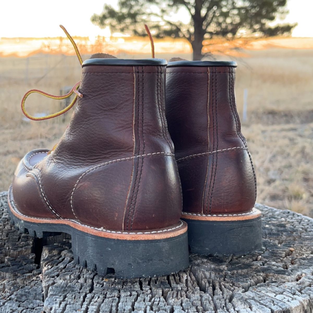 Photo by Spudanko on December 7, 2023 of the Red Wing Roughneck in S.B. Foot Briar Oil Slick.