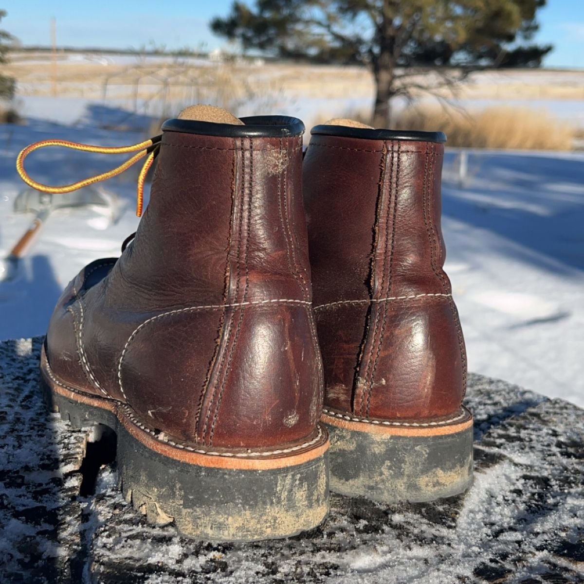 Photo by Spudanko on January 6, 2024 of the Red Wing Roughneck in S.B. Foot Briar Oil Slick.
