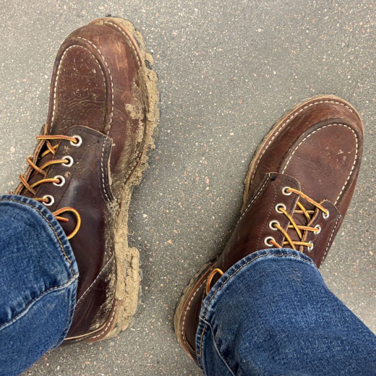 Photo by Spudanko on February 25, 2024 of the Red Wing Roughneck in S.B. Foot Briar Oil Slick.