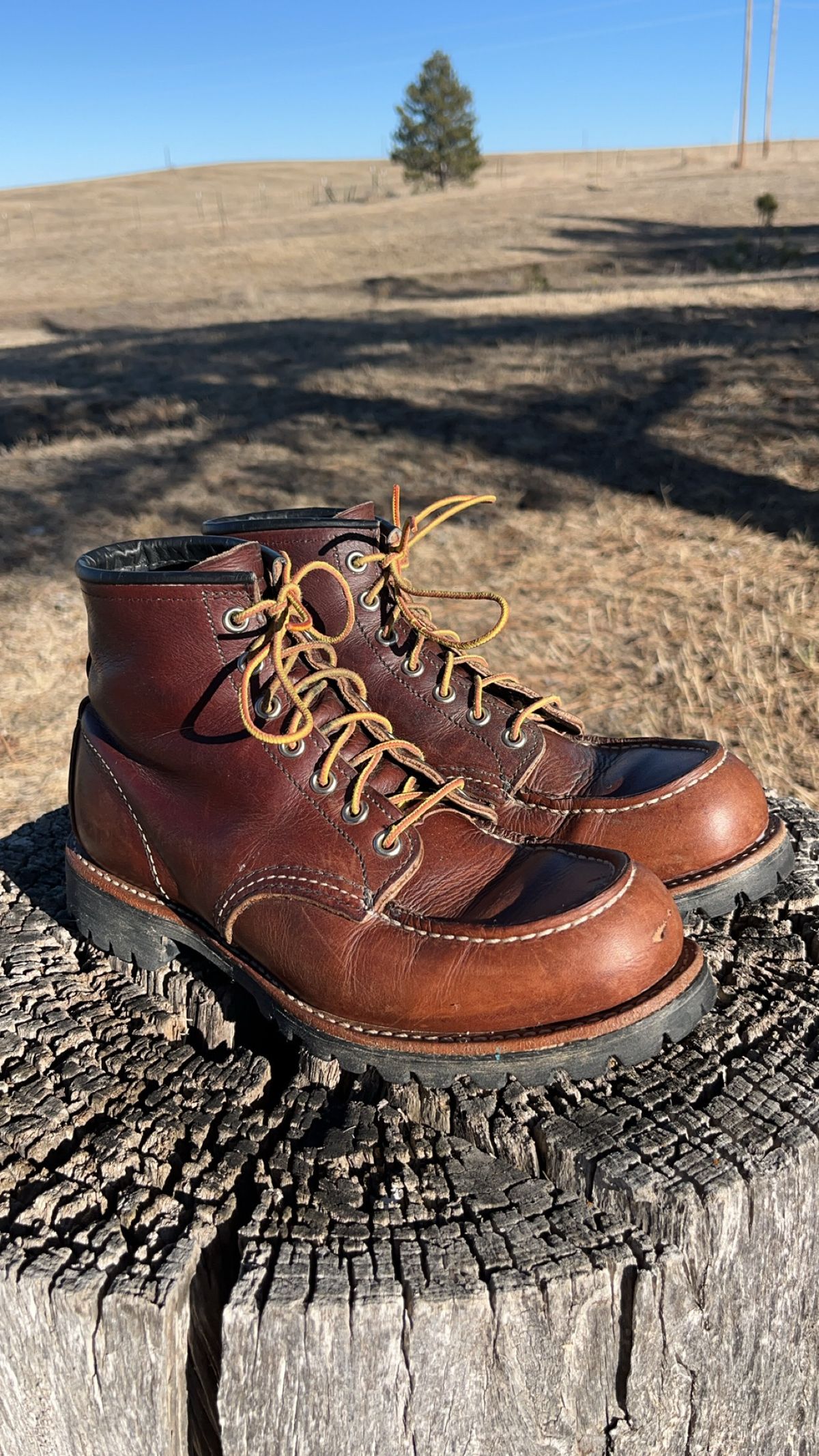 Photo by Spudanko on March 1, 2025 of the Red Wing Roughneck in S.B. Foot Briar Oil Slick.