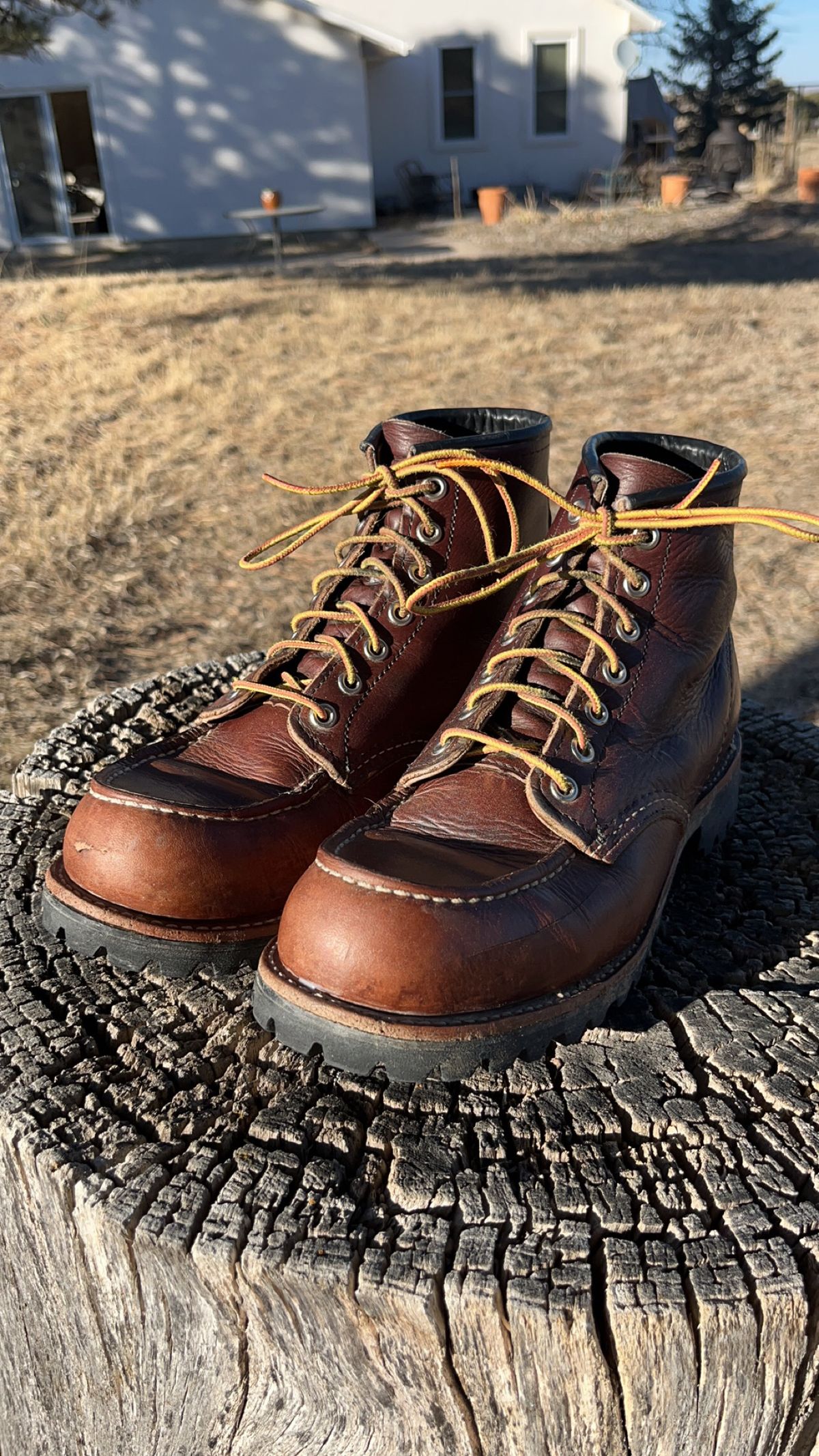 Photo by Spudanko on March 1, 2025 of the Red Wing Roughneck in S.B. Foot Briar Oil Slick.