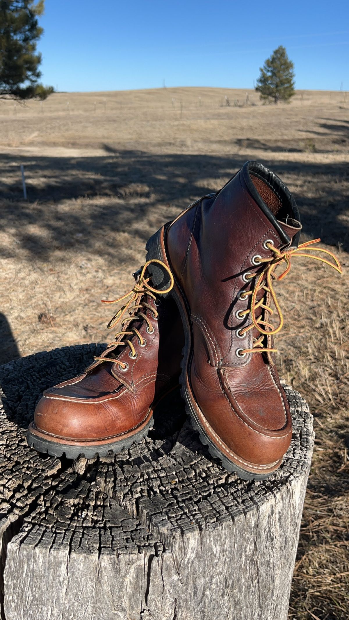 Photo by Spudanko on March 1, 2025 of the Red Wing Roughneck in S.B. Foot Briar Oil Slick.