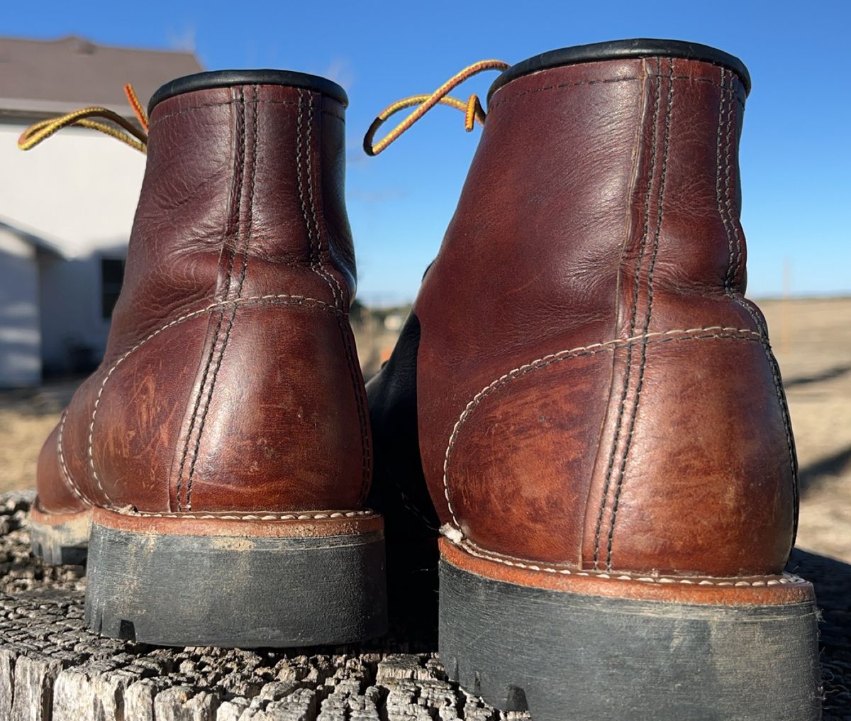 Photo by Spudanko on March 1, 2025 of the Red Wing Roughneck in S.B. Foot Briar Oil Slick.