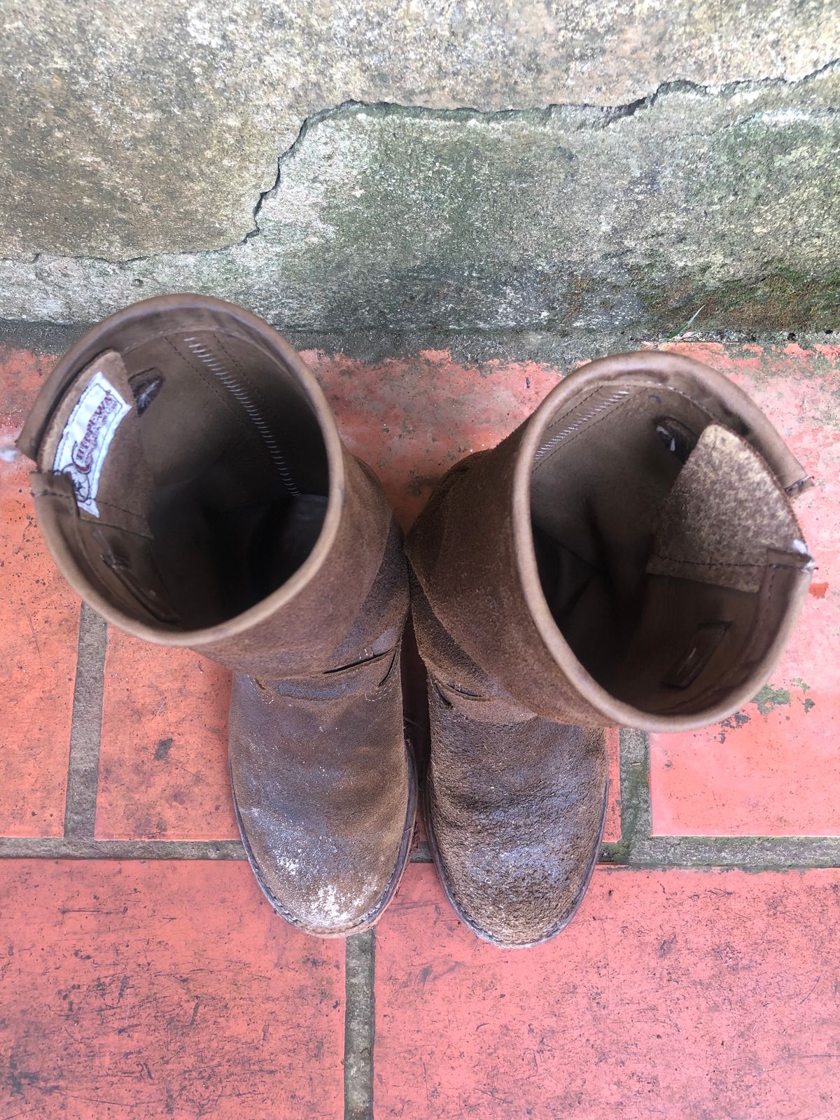 Photo by hanho on December 4, 2023 of the Chippewa 11" Engineer Boot in brown rough out.