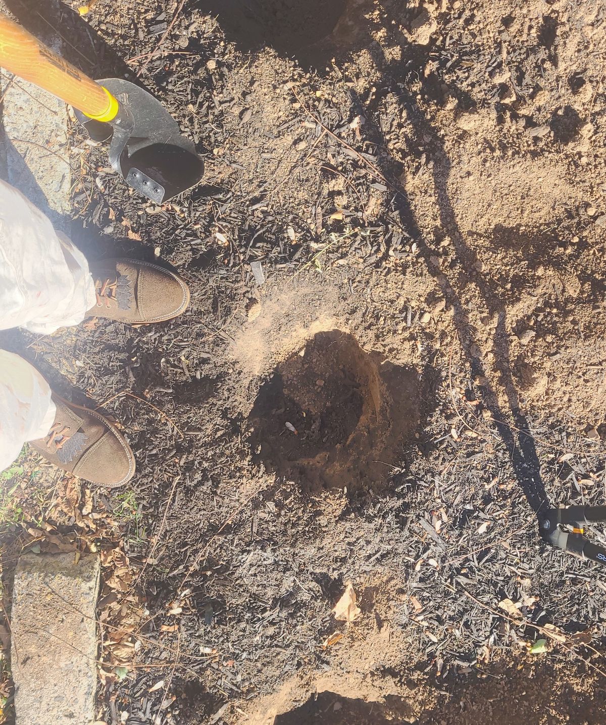 Photo by False.Idle.Warship on October 21, 2025 of the Parkhurst The Richmond in Dark Olive Waxed Roughout.