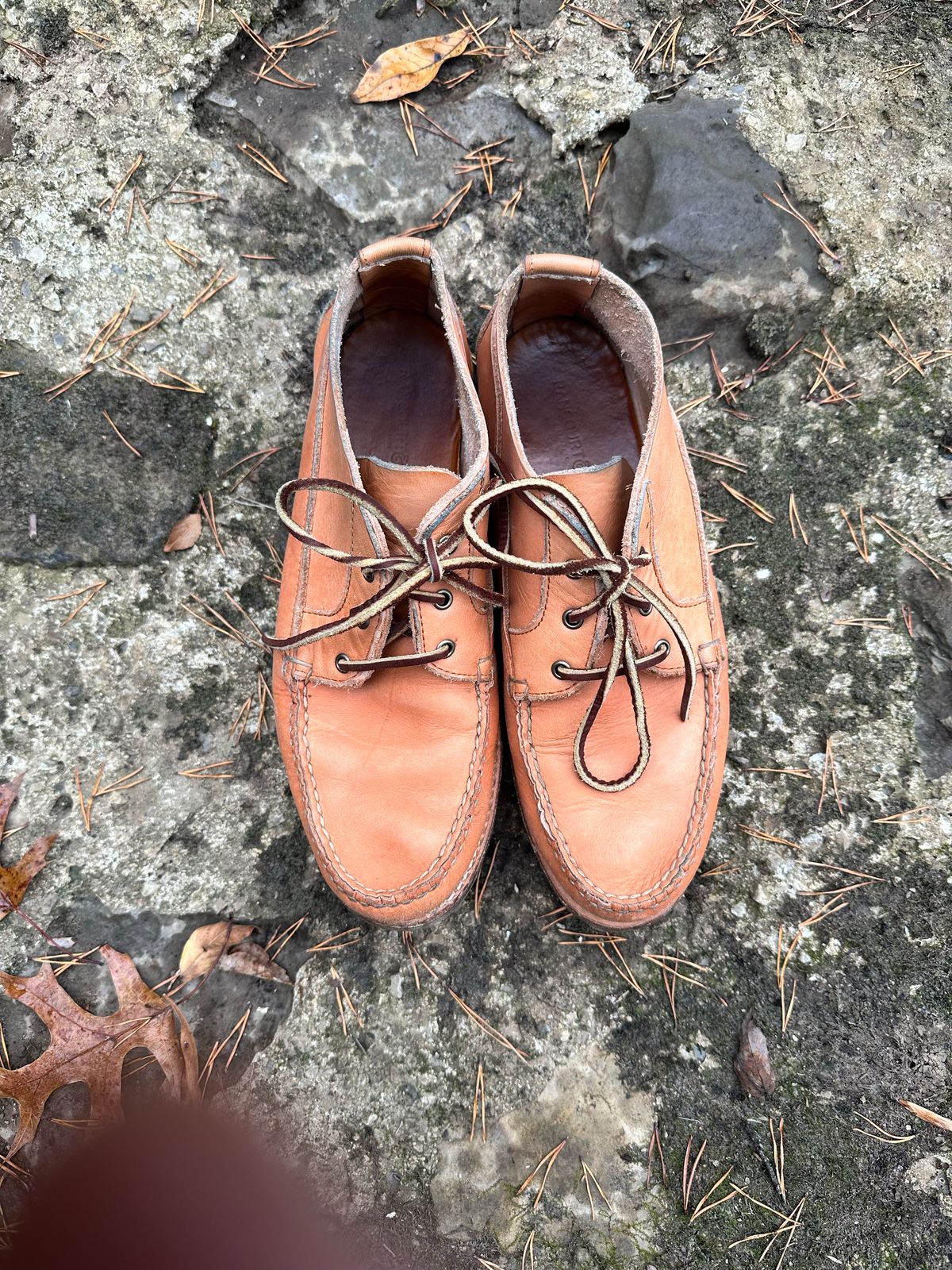 Photo by swampdonkey on November 8, 2022 of the Rancourt & Co. Acadia Chukka in Horween Natural Essex.