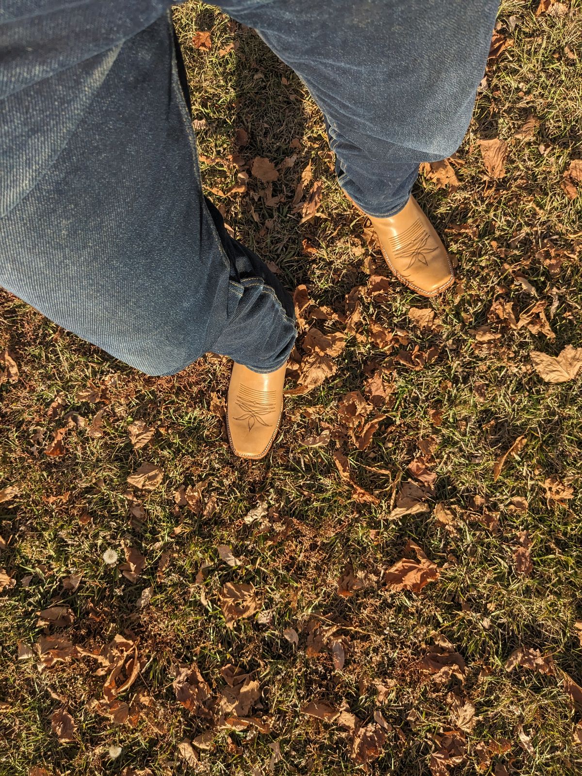 Photo by nared1267 on November 6, 2023 of the HYER Boots Maize in Sunrise Retan.