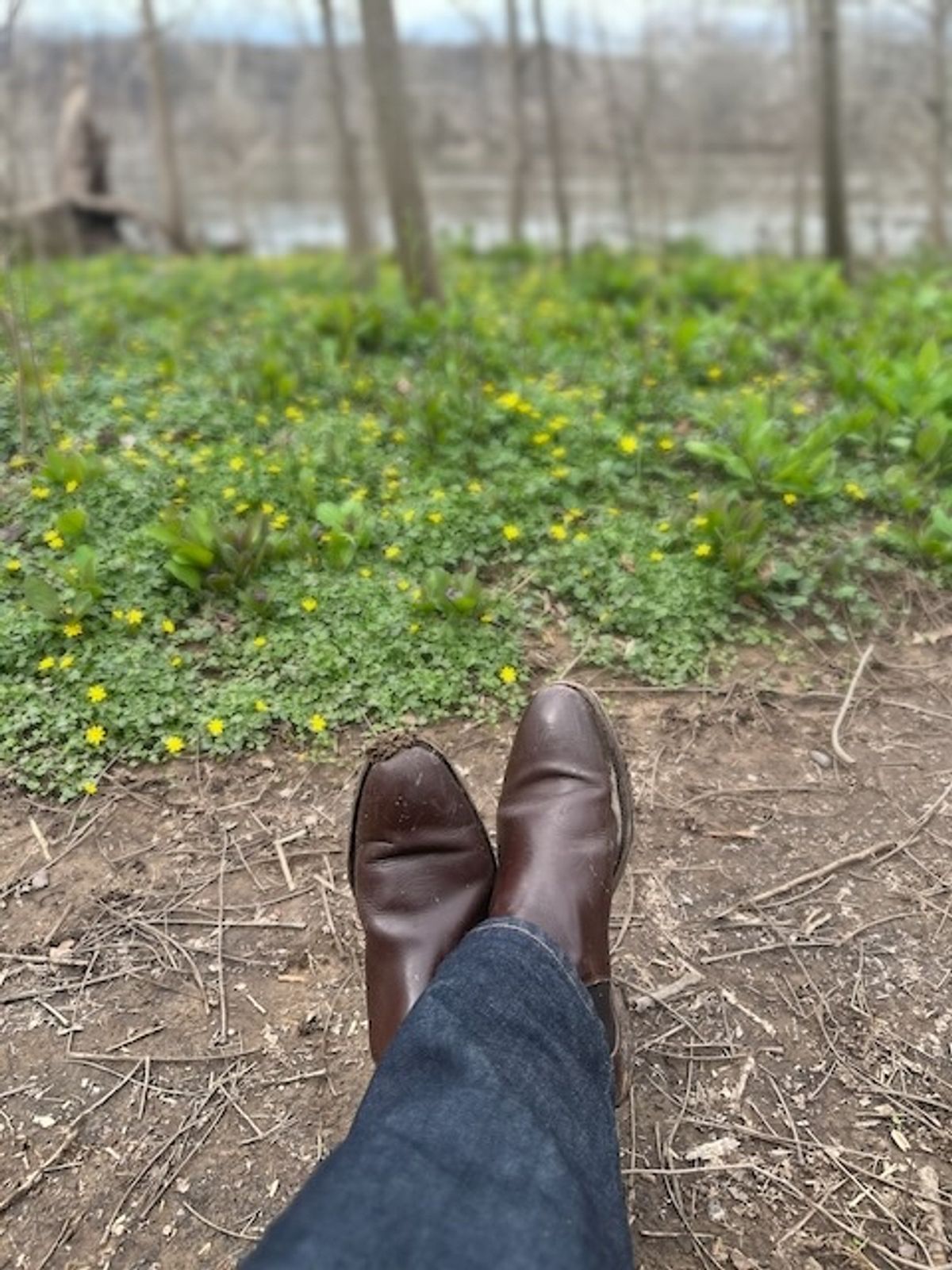 Photo by cows_electronico on March 15, 2024 of the Meermin Chelsea Boot in Du Puy Brown Box Calf.