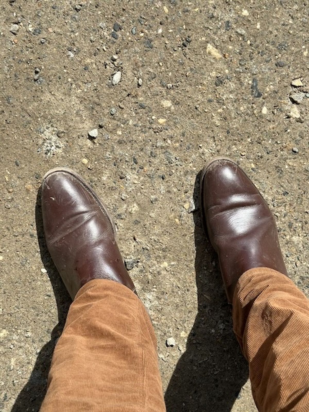 Photo by cows_electronico on April 6, 2024 of the Meermin Chelsea Boot in Du Puy Brown Box Calf.