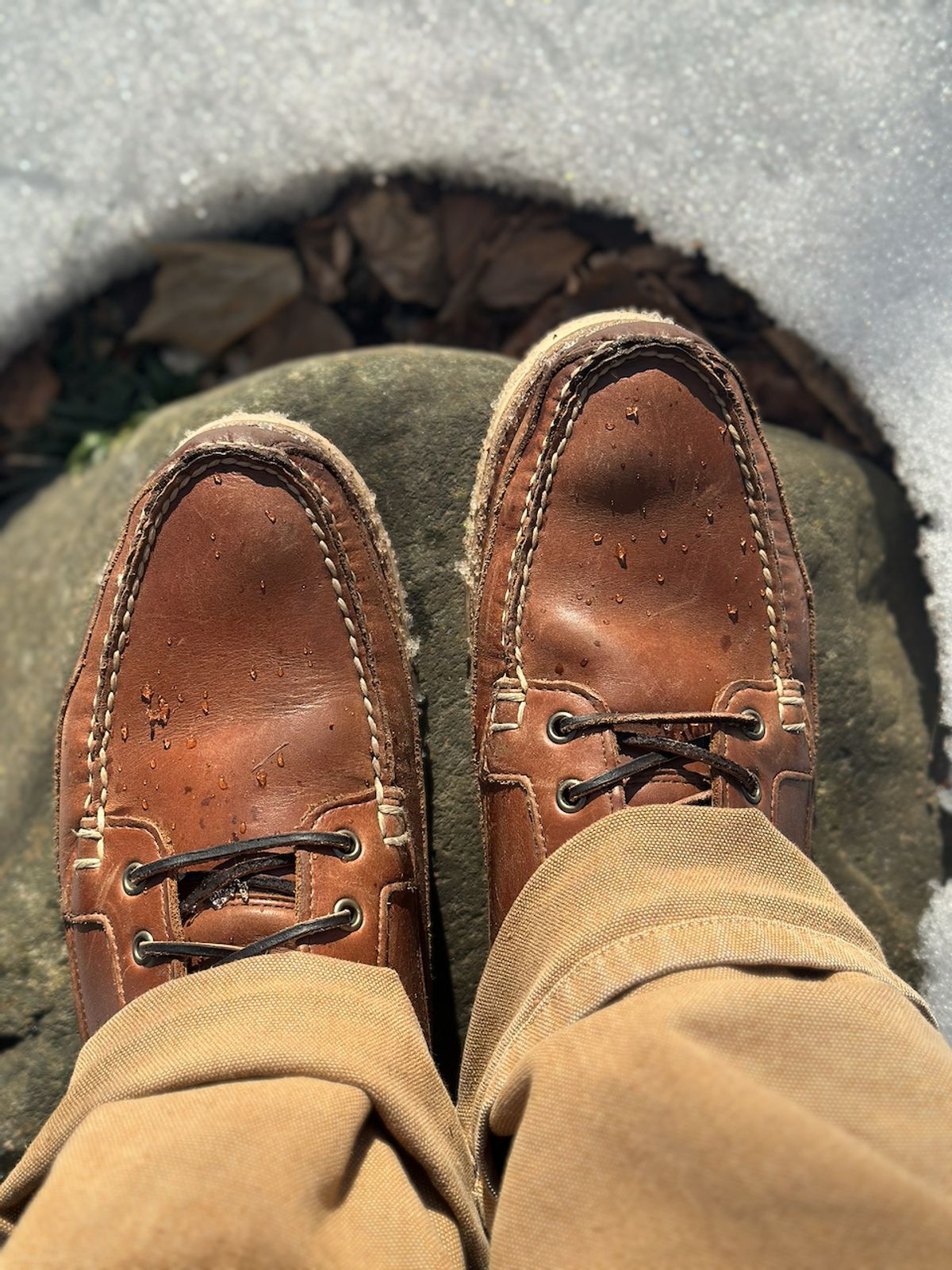 Photo by cows_electronico on February 13, 2026 of the Rancourt & Co. Harrison Boot Redux in Horween Natural Chromexcel.