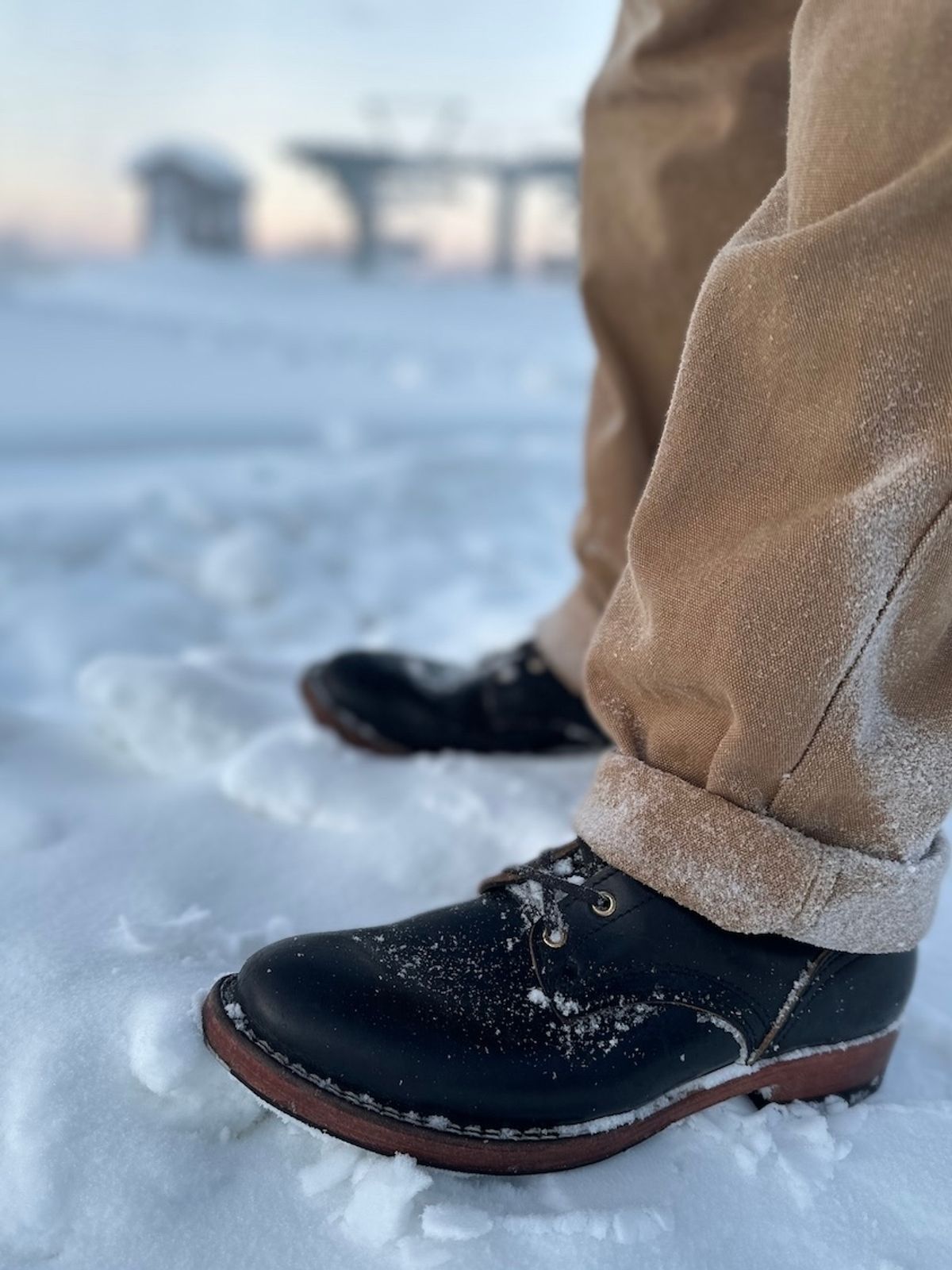 Photo by cows_electronico on December 1, 2024 of the Nicks Free Range in Horween Black Teacore Chromexcel.