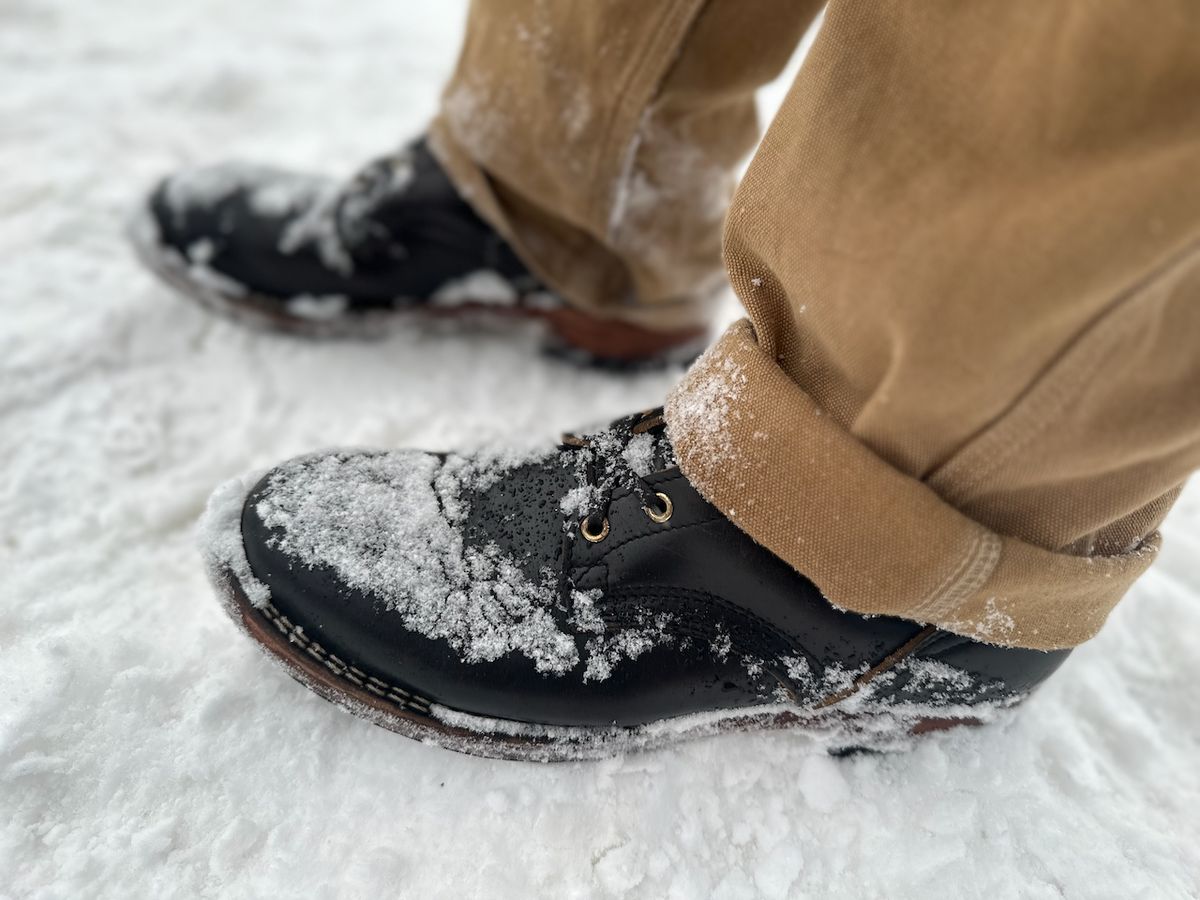 Photo by cows_electronico on December 28, 2024 of the Nicks Free Range in Horween Black Teacore Chromexcel.