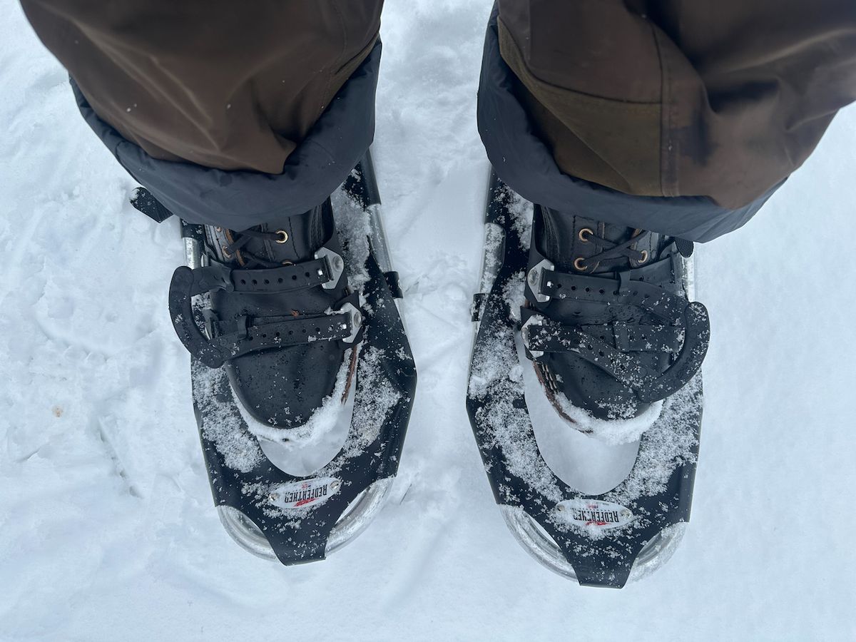 Photo by cows_electronico on December 25, 2024 of the Nicks Free Range in Horween Black Teacore Chromexcel.
