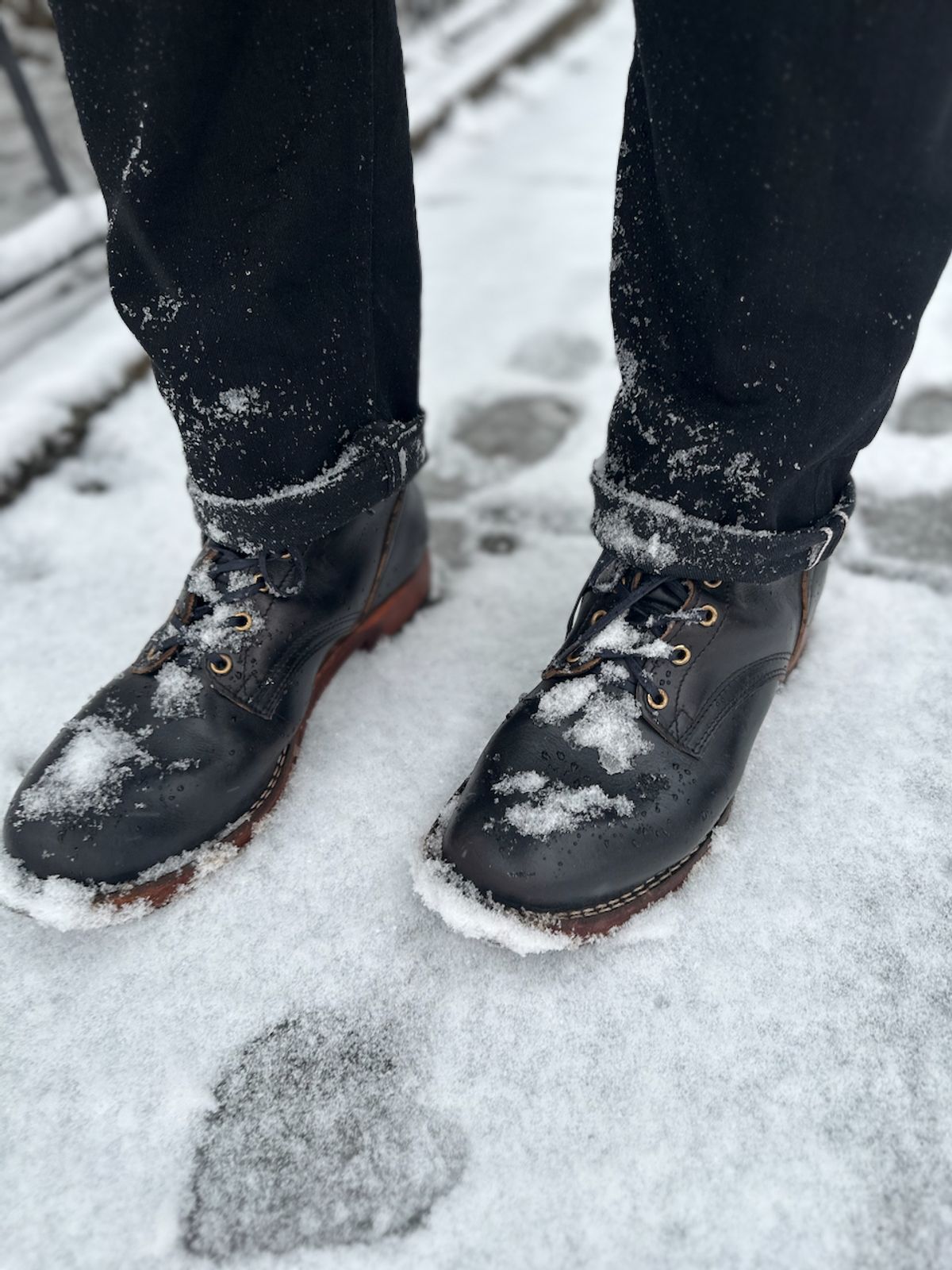 Photo by cows_electronico on February 11, 2025 of the Nicks Free Range in Horween Black Teacore Chromexcel.