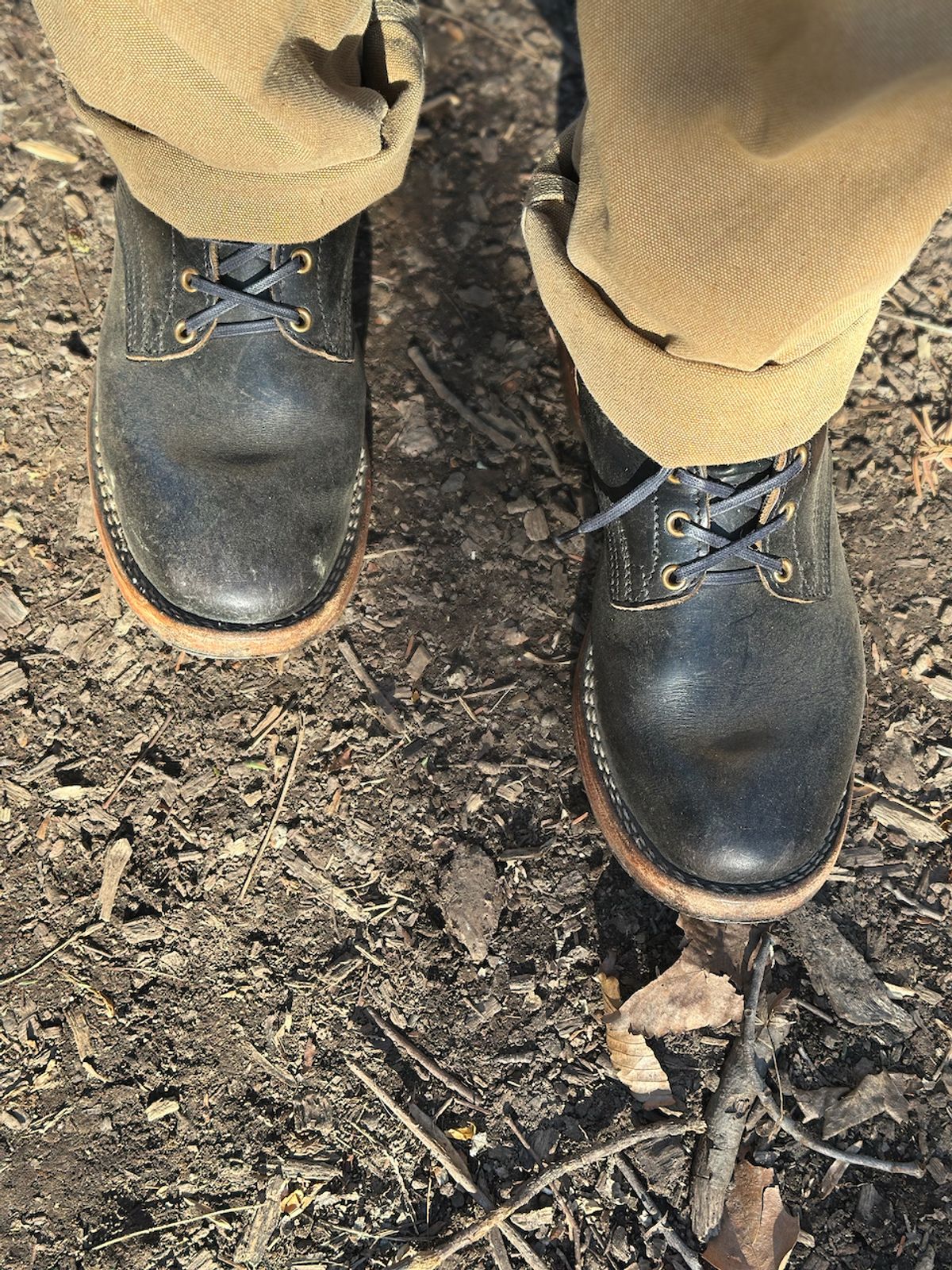 Photo by cows_electronico on March 2, 2025 of the Nicks Free Range in Horween Black Teacore Chromexcel.