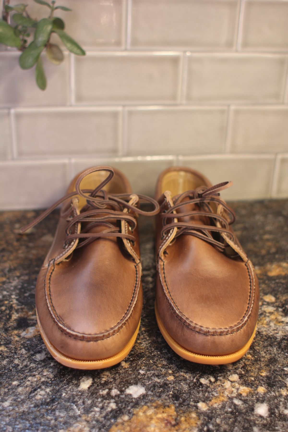 Photo by cows_electronico on October 16, 2024 of the Quoddy Blucher in Horween Natural Chromexcel.