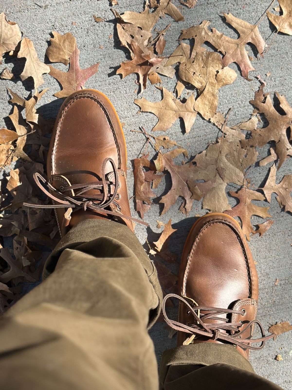 Photo by cows_electronico on November 5, 2024 of the Quoddy Blucher in Horween Natural Chromexcel.