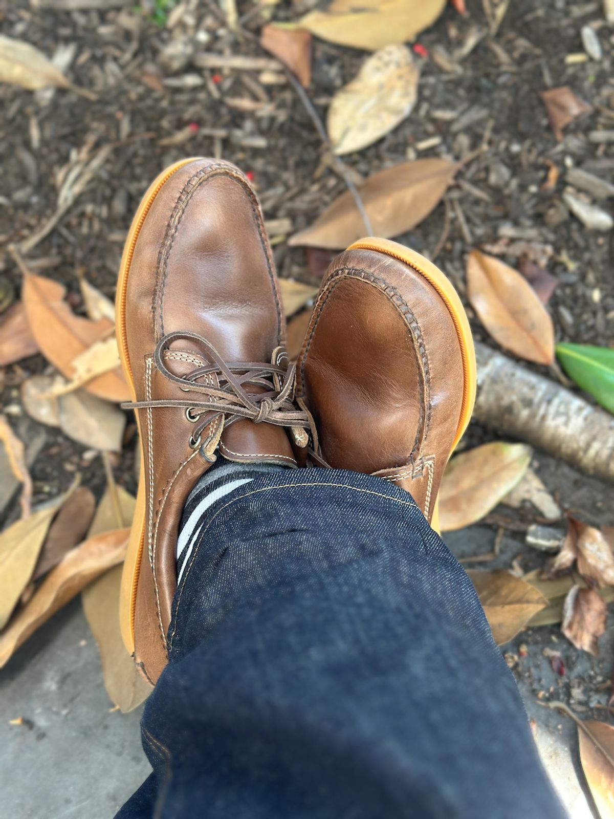 Photo by cows_electronico on October 3, 2025 of the Quoddy Blucher in Horween Natural Chromexcel.