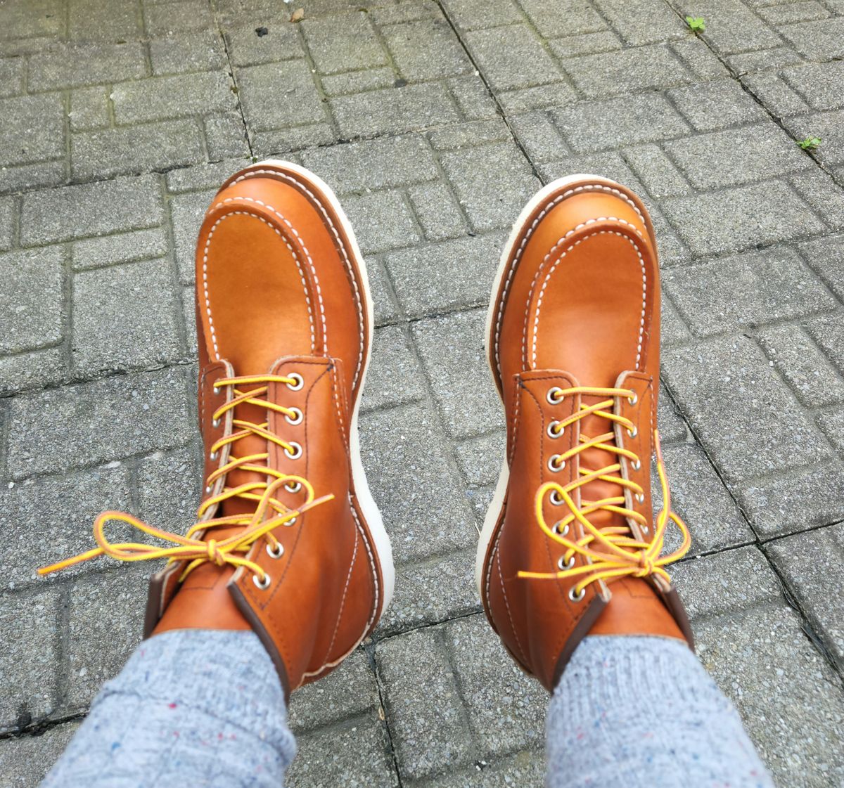 Photo by som1 on August 21, 2022 of the Red Wing 6-Inch Classic Moc in S.B. Foot Oro Legacy.