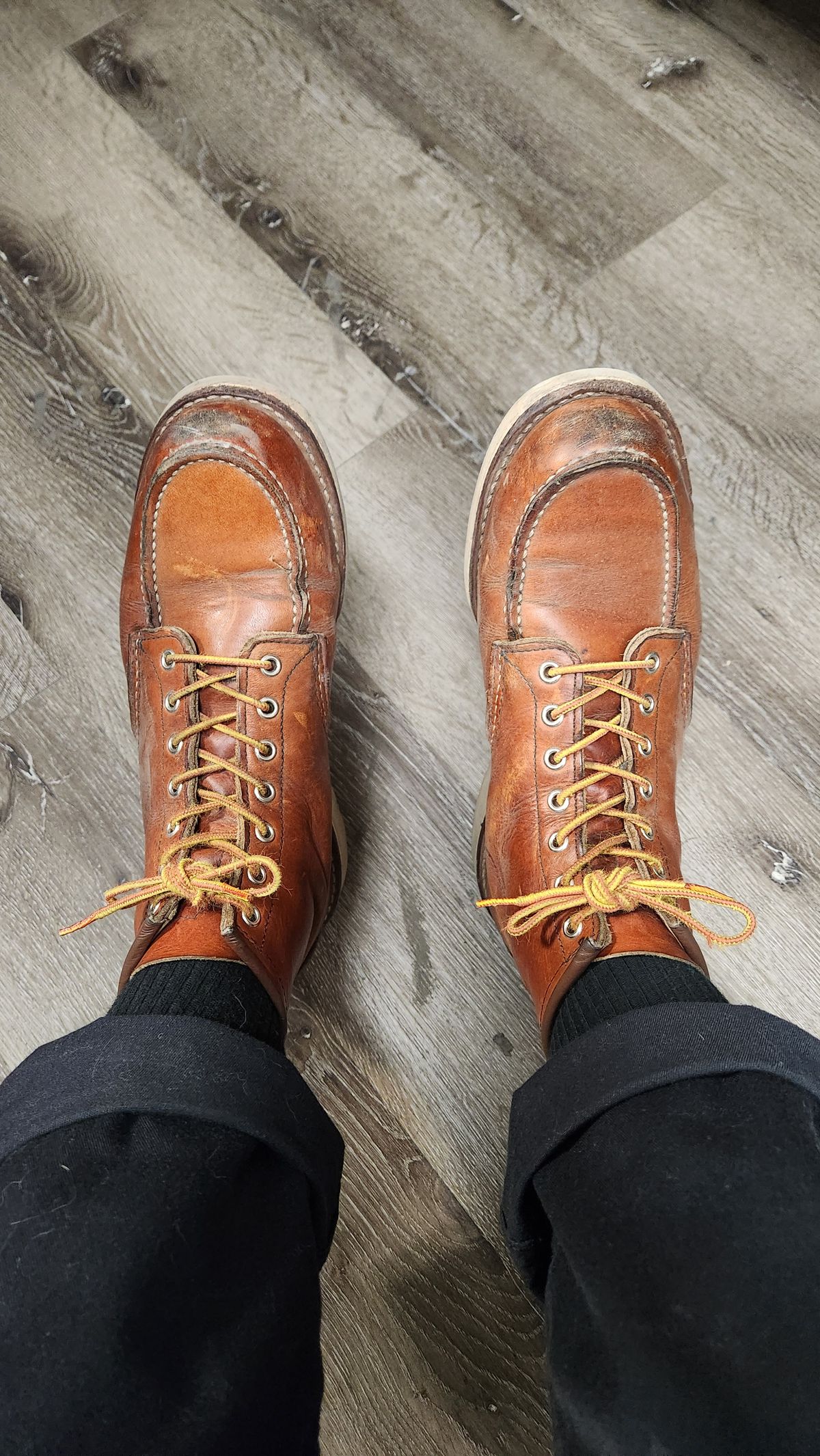 Photo by som1 on September 14, 2023 of the Red Wing 6-Inch Classic Moc in S.B. Foot Oro Legacy.