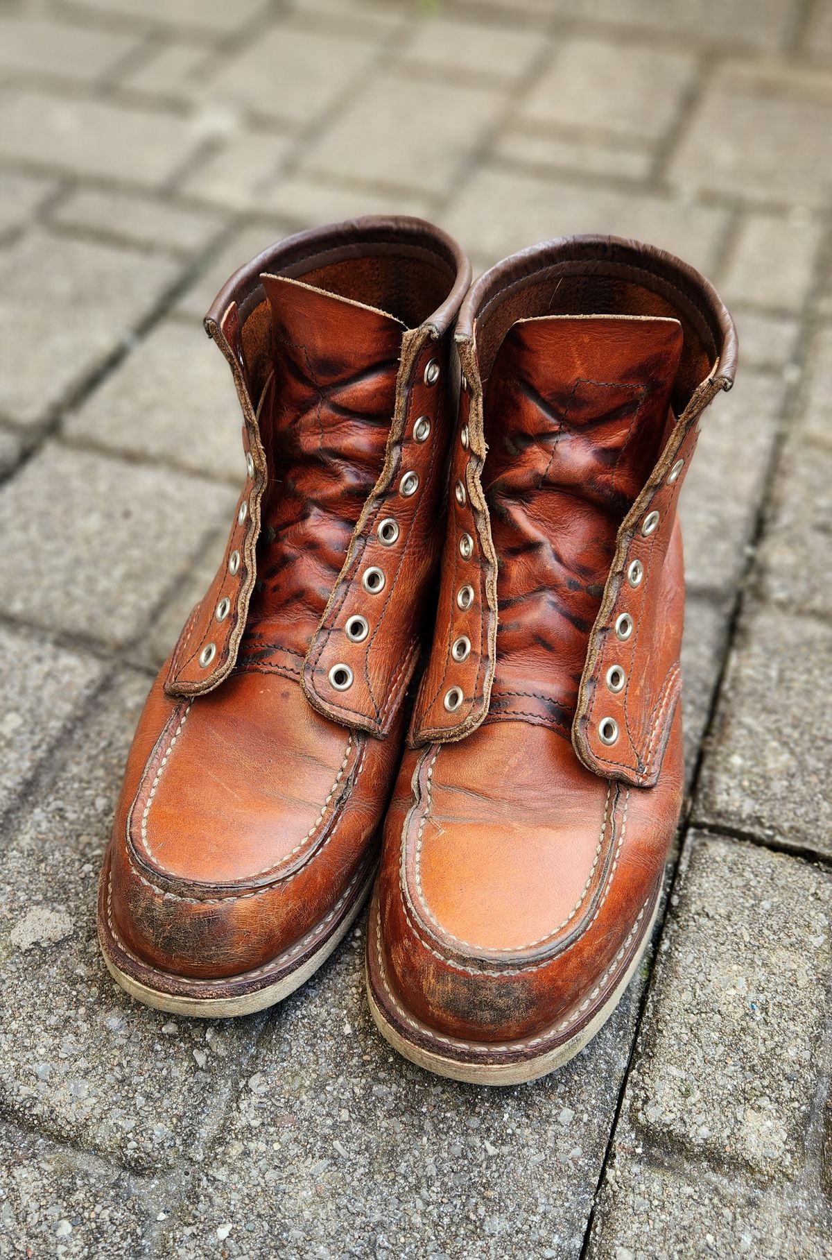 Photo by som1 on September 21, 2023 of the Red Wing 6-Inch Classic Moc in S.B. Foot Oro Legacy.