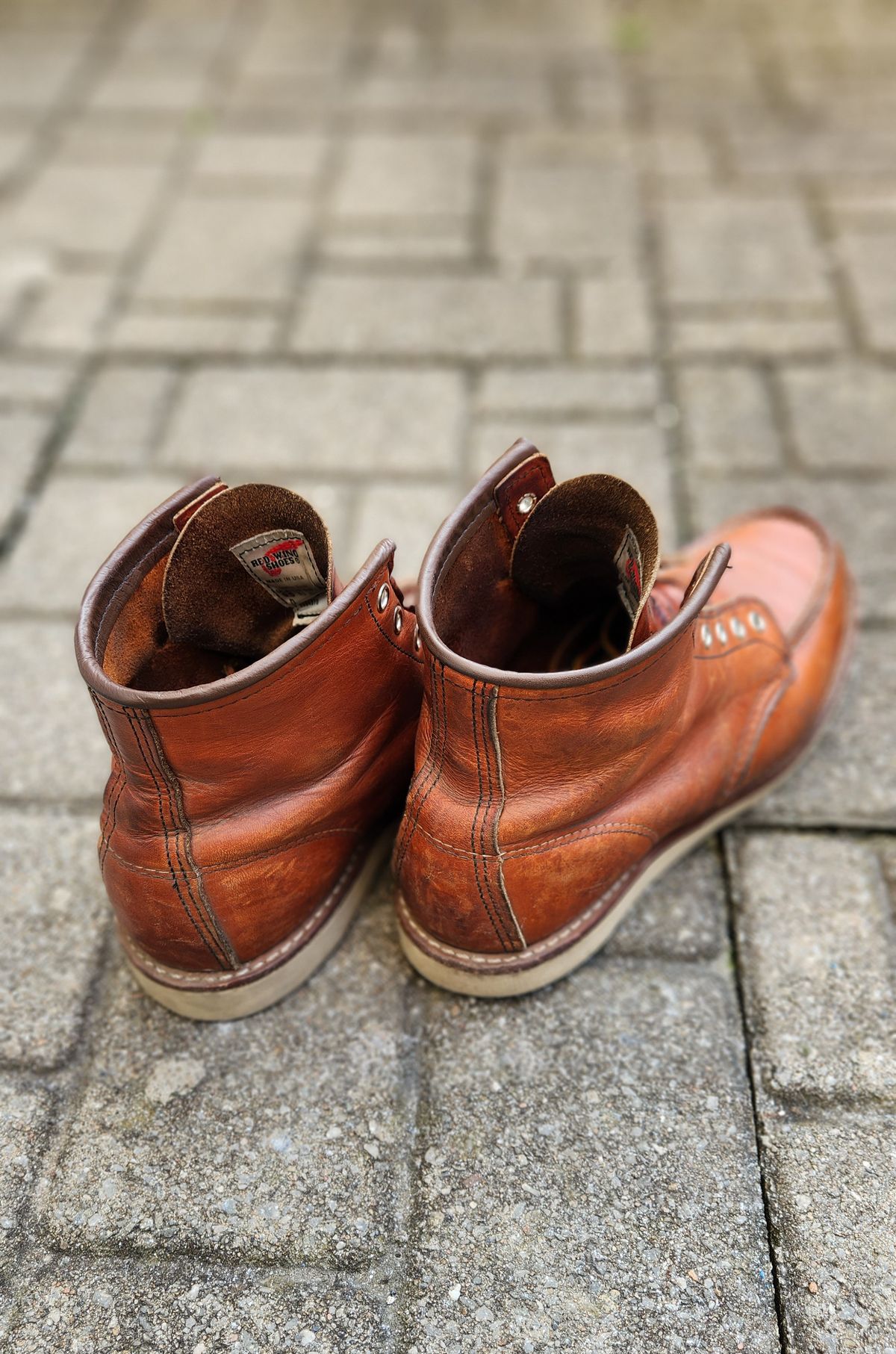 Photo by som1 on September 21, 2023 of the Red Wing 6-Inch Classic Moc in S.B. Foot Oro Legacy.