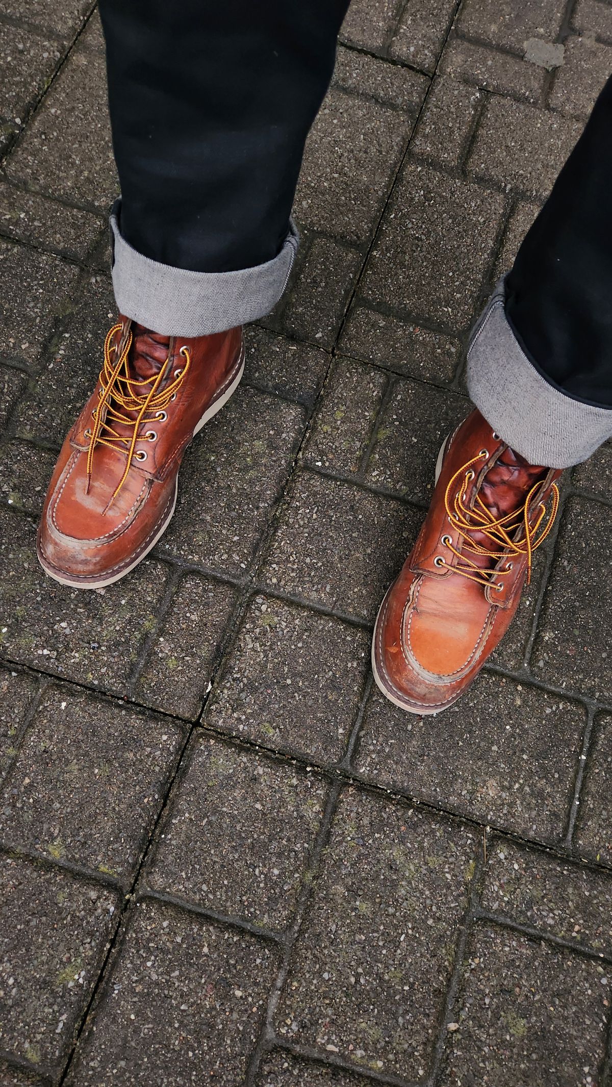 Photo by som1 on April 30, 2024 of the Red Wing 6-Inch Classic Moc in S.B. Foot Oro Legacy.